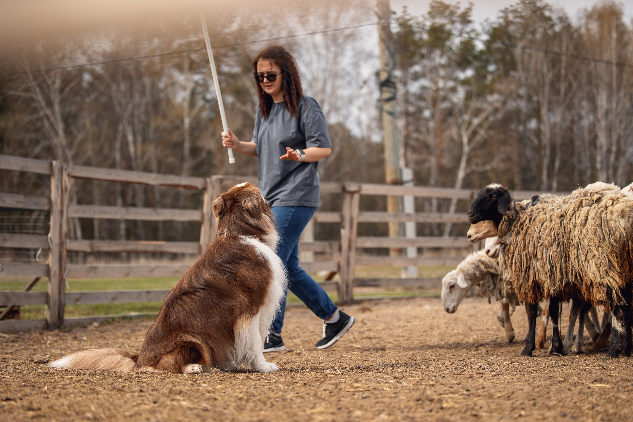 Анна и Вуди. YULA KOLESOVA | Фотограф — Анималист | Художник | Тюмень