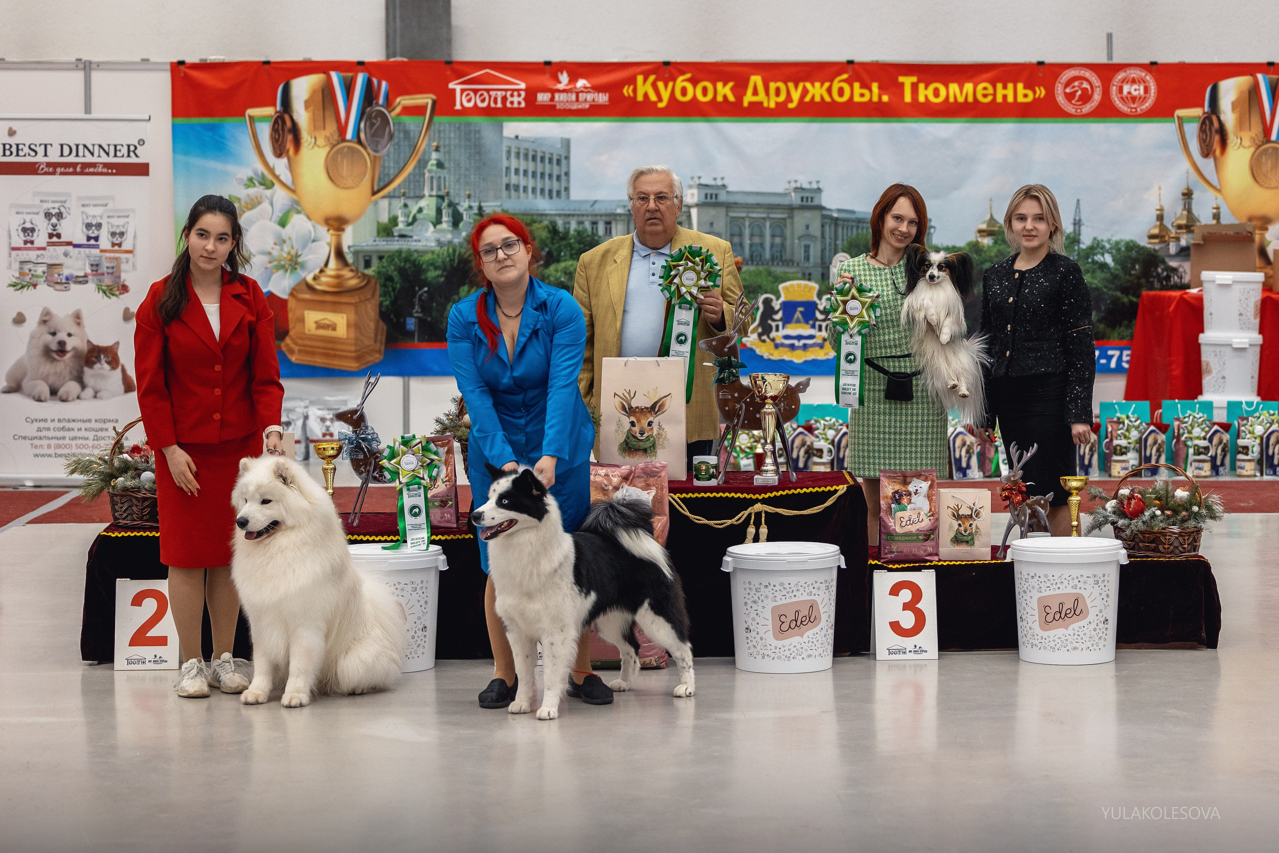 14.12.2024 Выставка собак всех пород «Кубок Дружбы — 2024». YULA KOLESOVA | Фотограф — Анималист | Художник | Тюмень