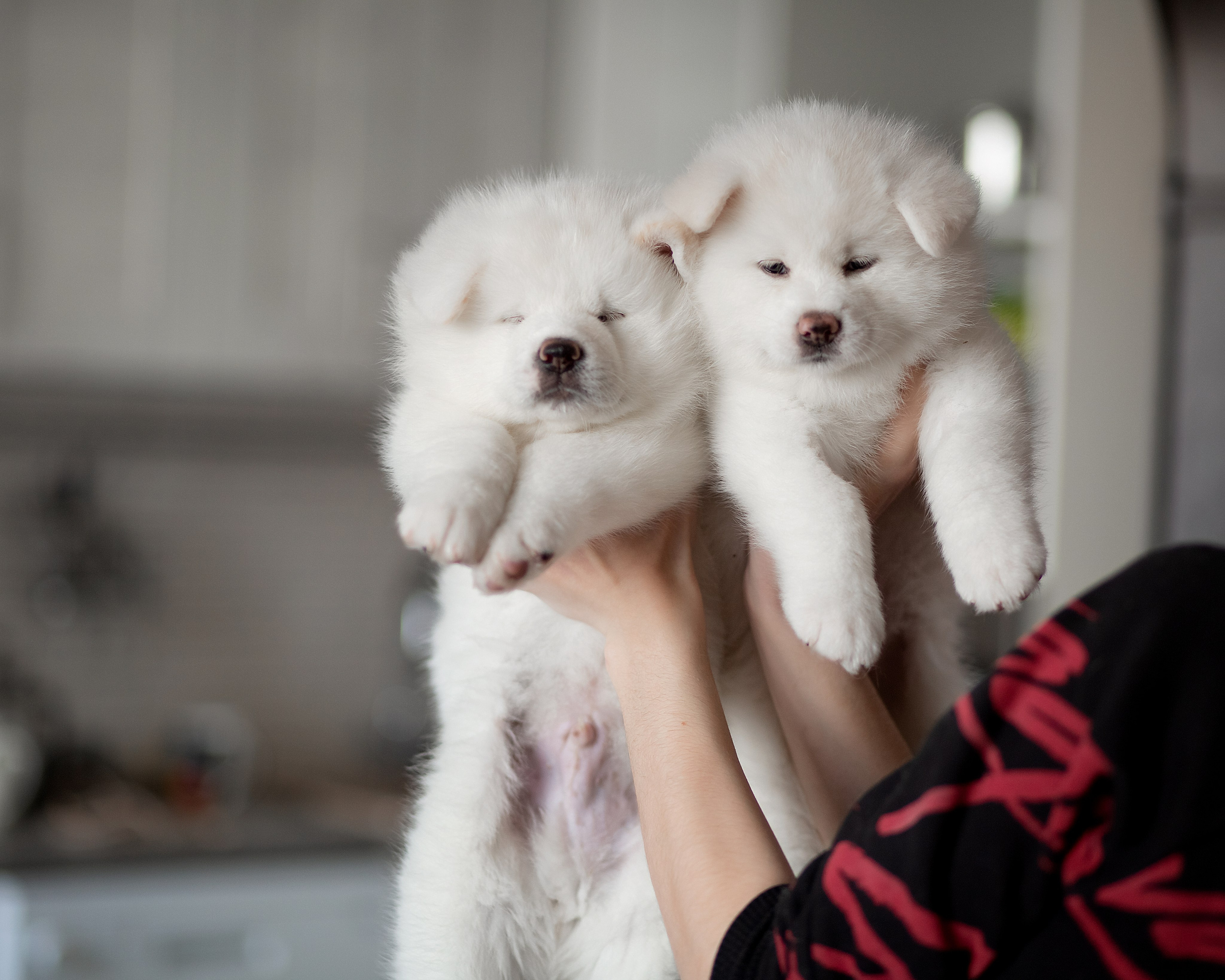 Предыдущие пометы. Алена Попова — фотограф в Хабаровске