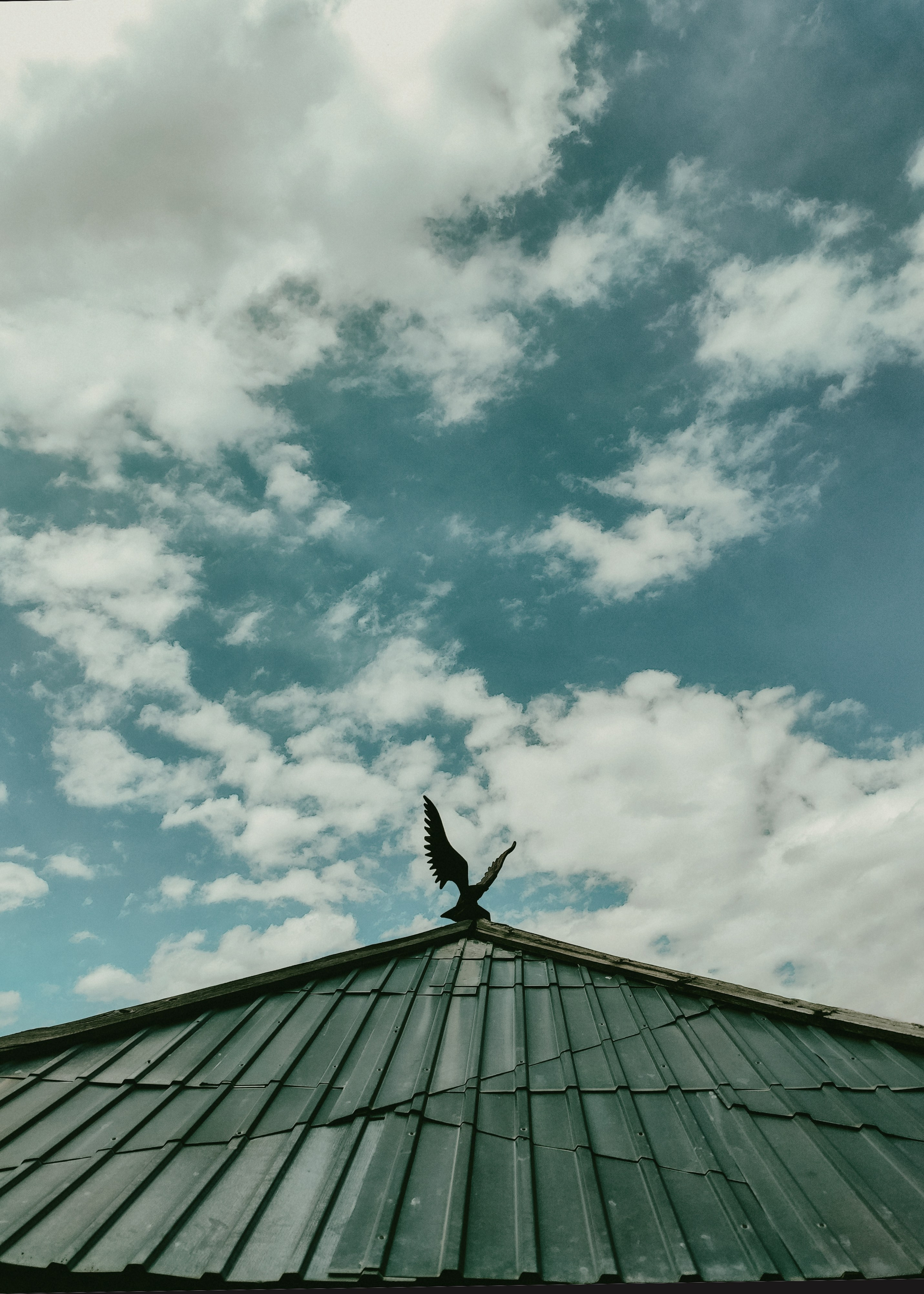 Алтай (мобилография). Фотограф в Москве, в Самаре Инна Мамонова