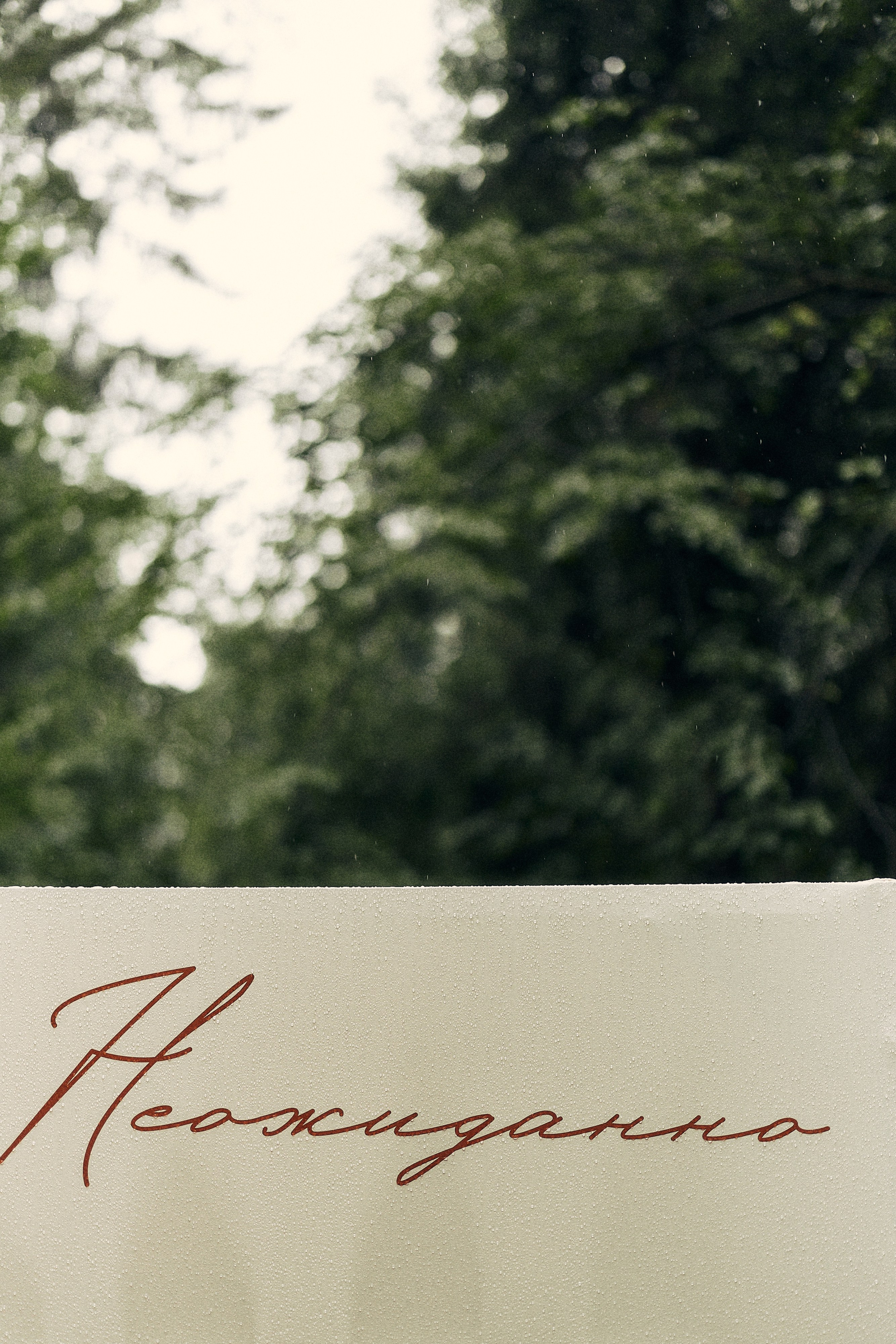 Анастасия и Влад. Свадебный и семейный фотограф в Иваново и Москве Мильков Вадим