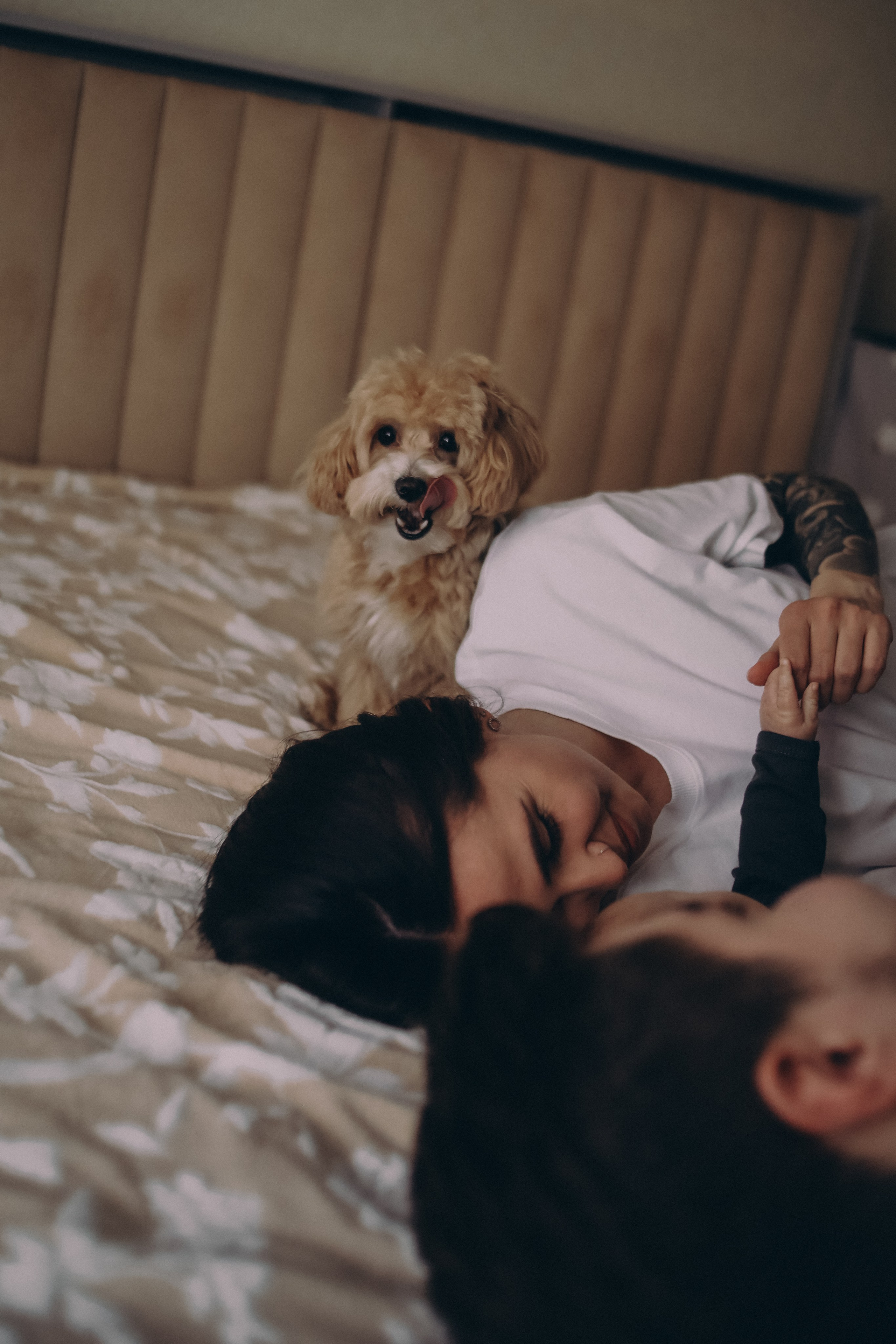 Мама, папа, я и 2 хвоста. Фотограф Новый Уренгой I Ньюборн I Фотограф материнства I ЯНАО