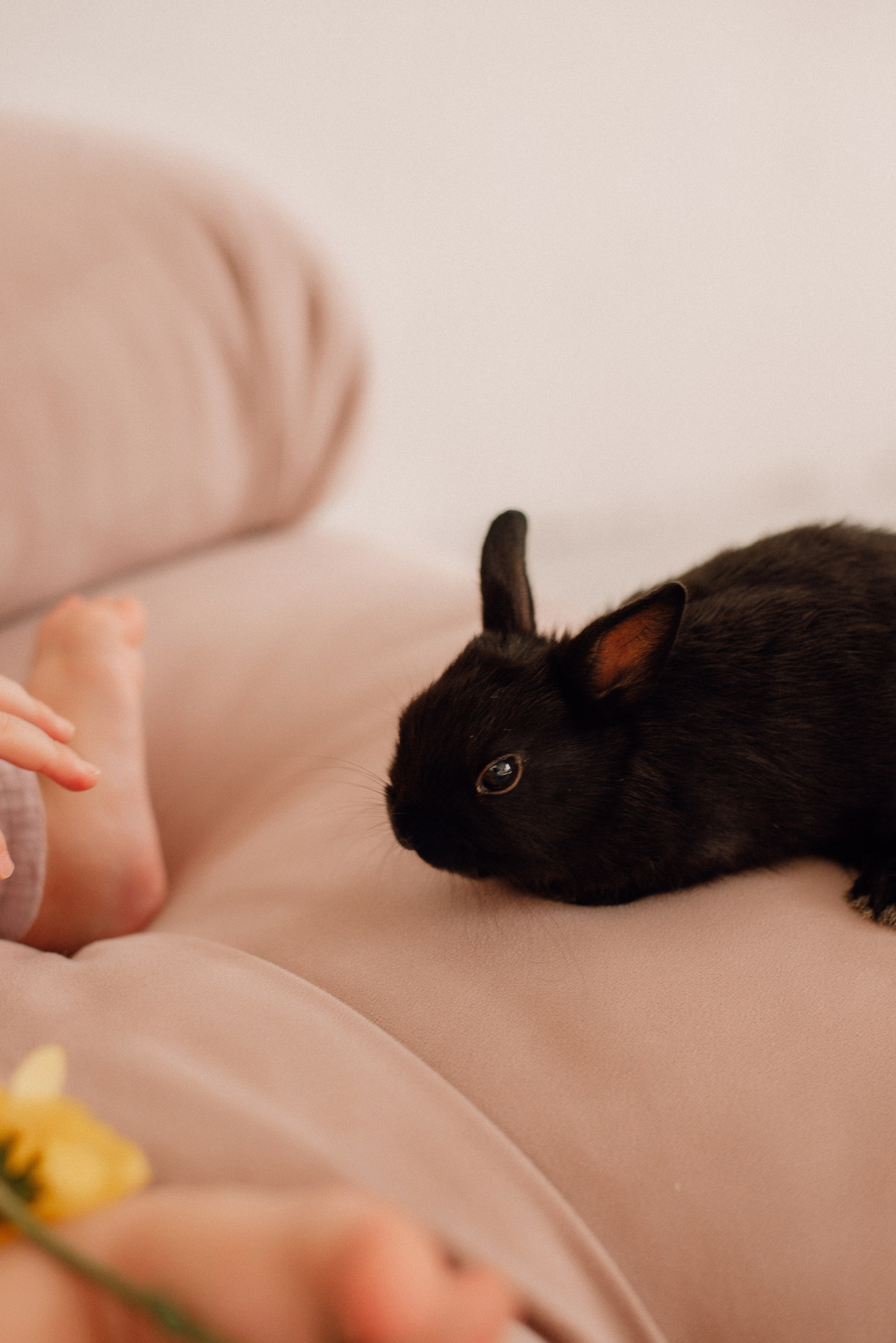 Смирновы, Кострома. Семейный и детский фотограф Иваново Ксения Азаренкова