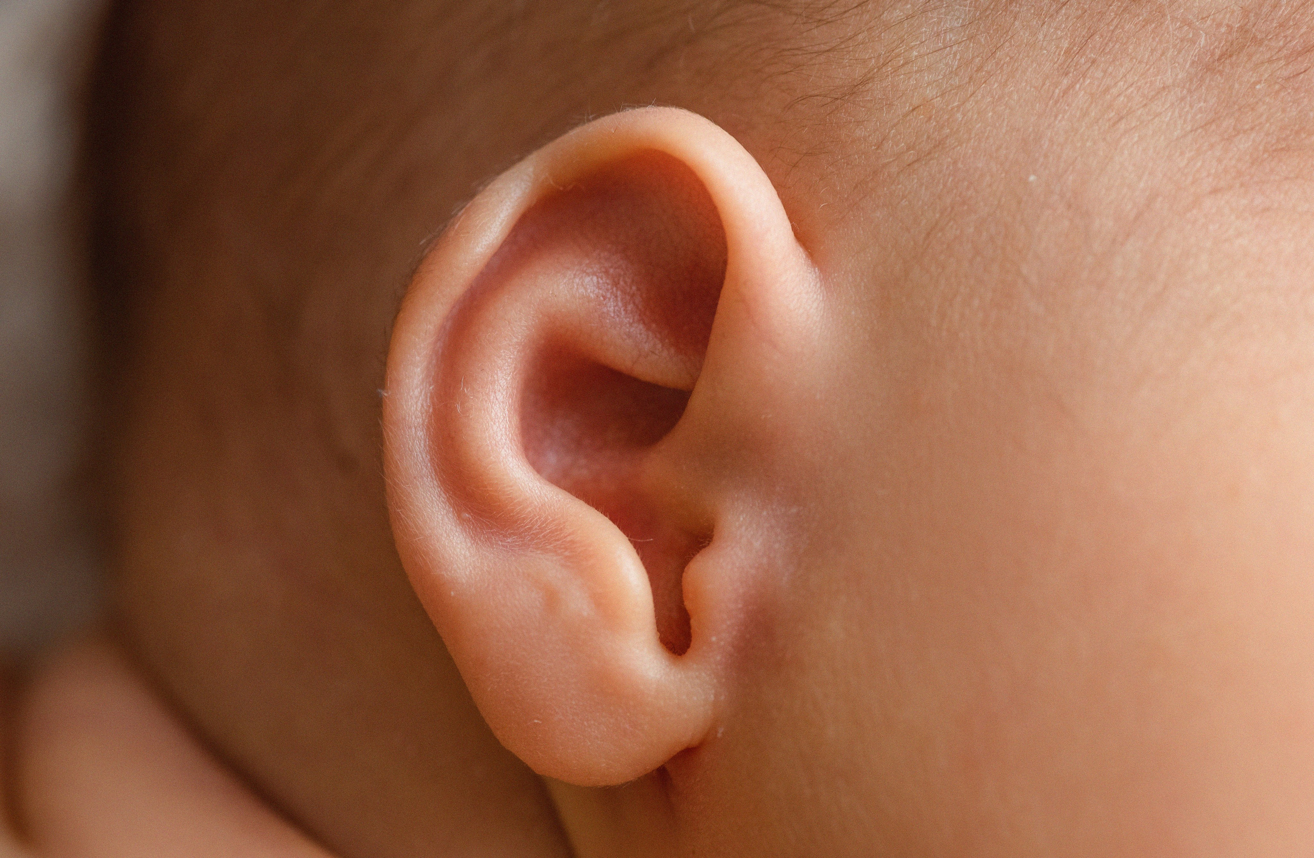 Макро. Фотограф Новорожденных во Владивостоке Ольга Галаницкая