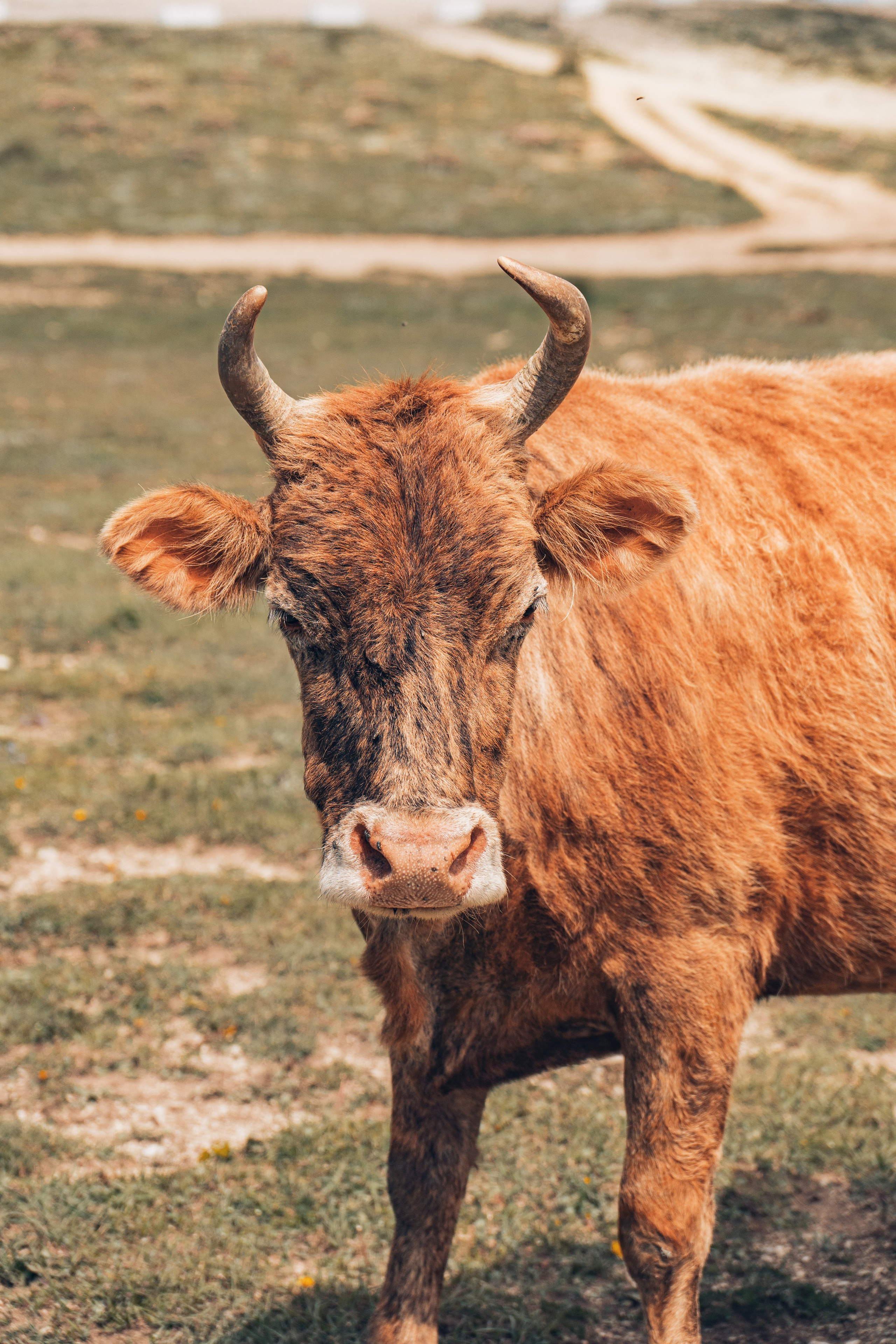 Дагестан. Gusarov Travel Photography