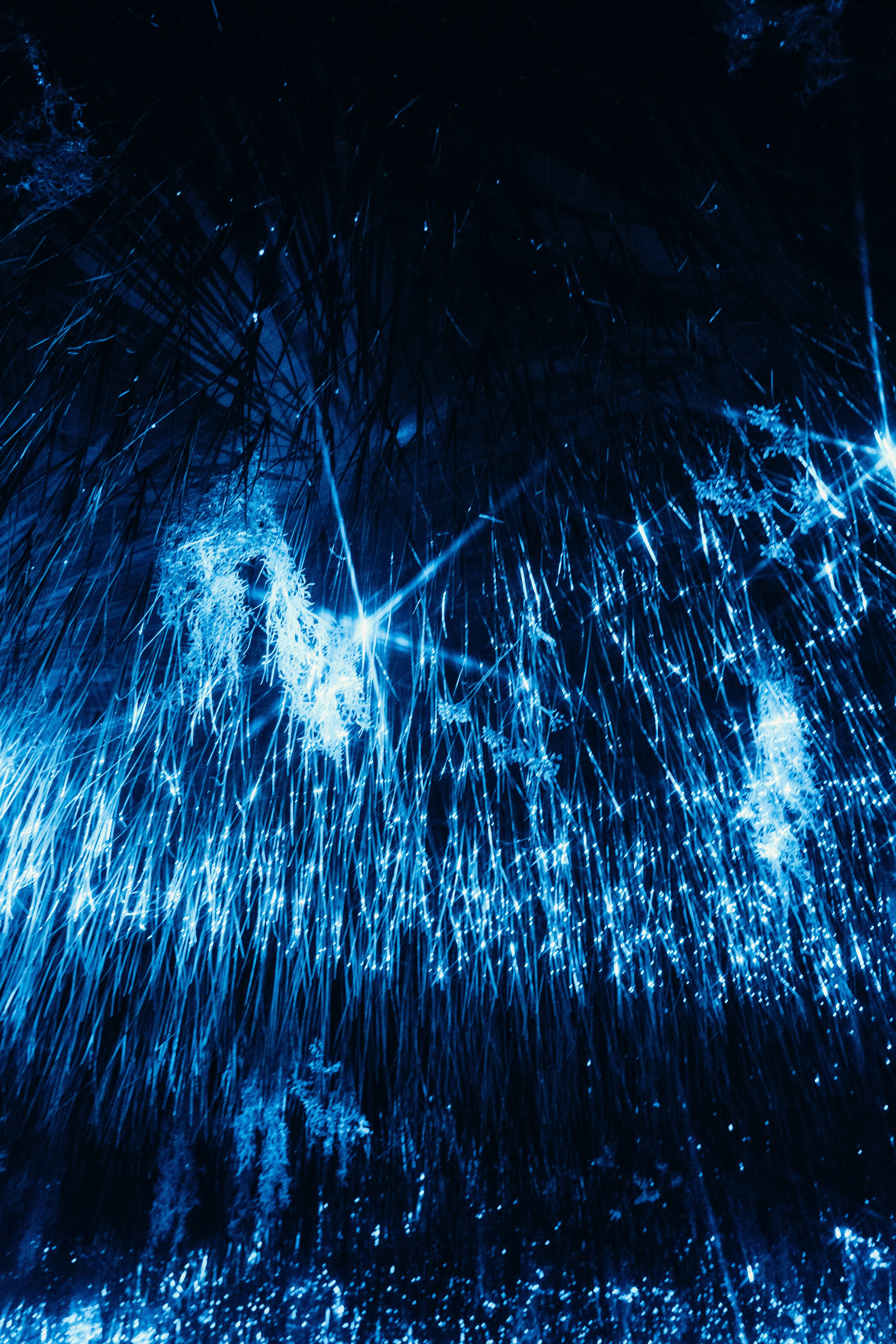 NUR 2024. Главная