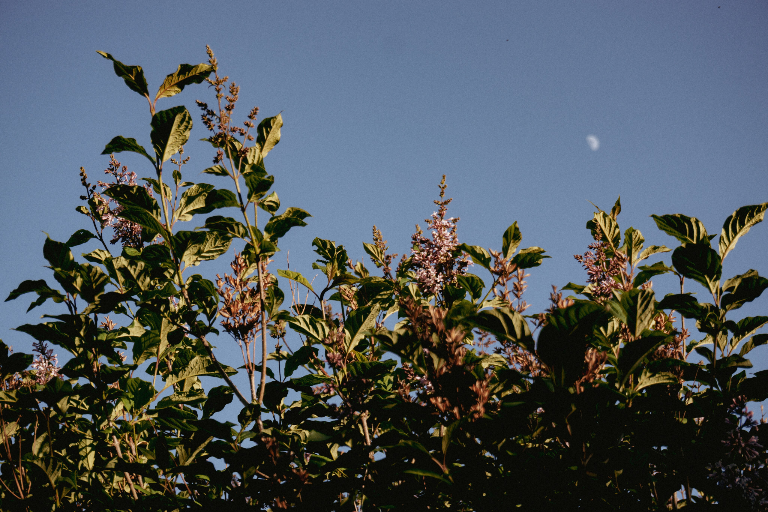 04.06.2025 | Сосновоборск. Kuznetsov | Фотограф в Красноярске