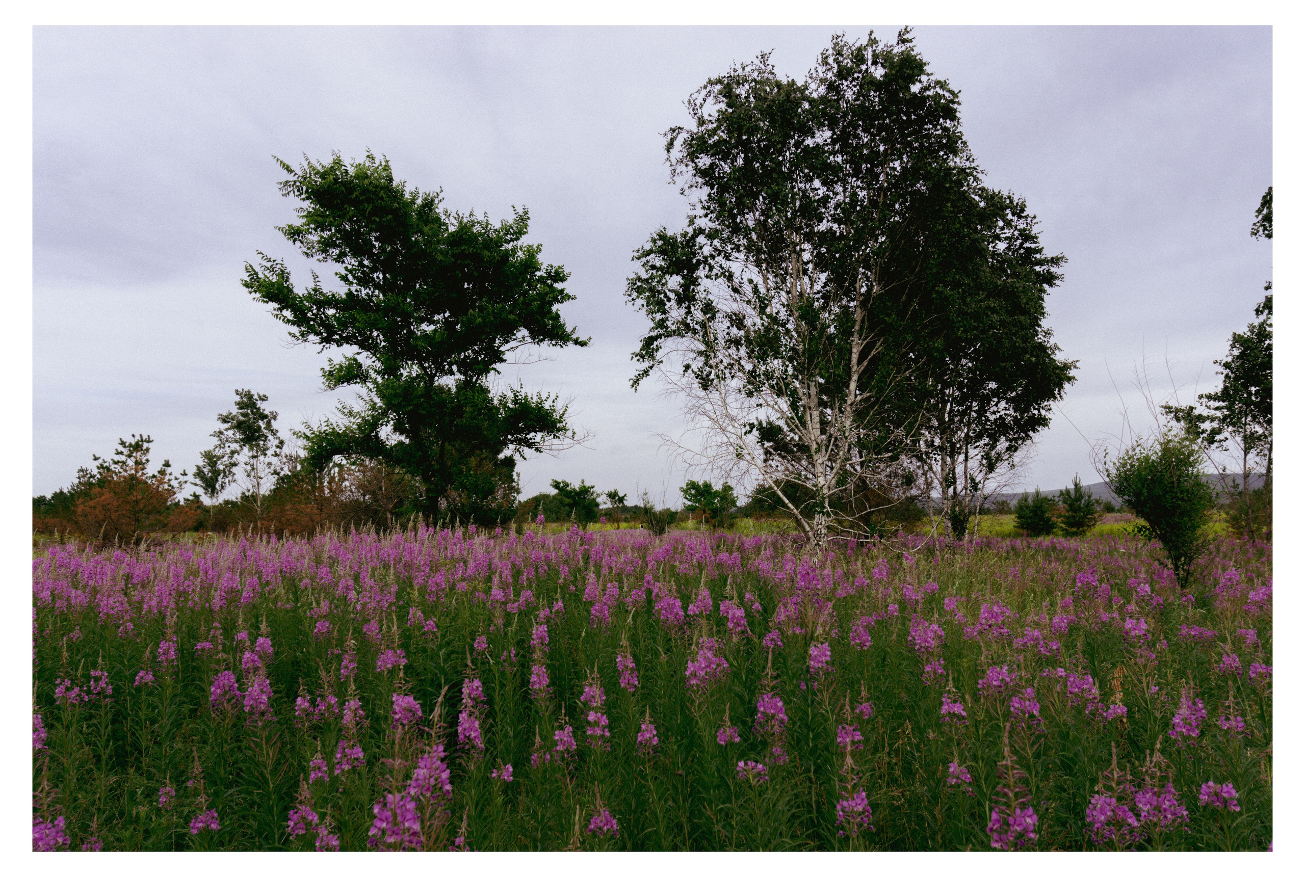 29.06.2025 | Сосновоборск. Kuznetsov | Фотограф в Красноярске