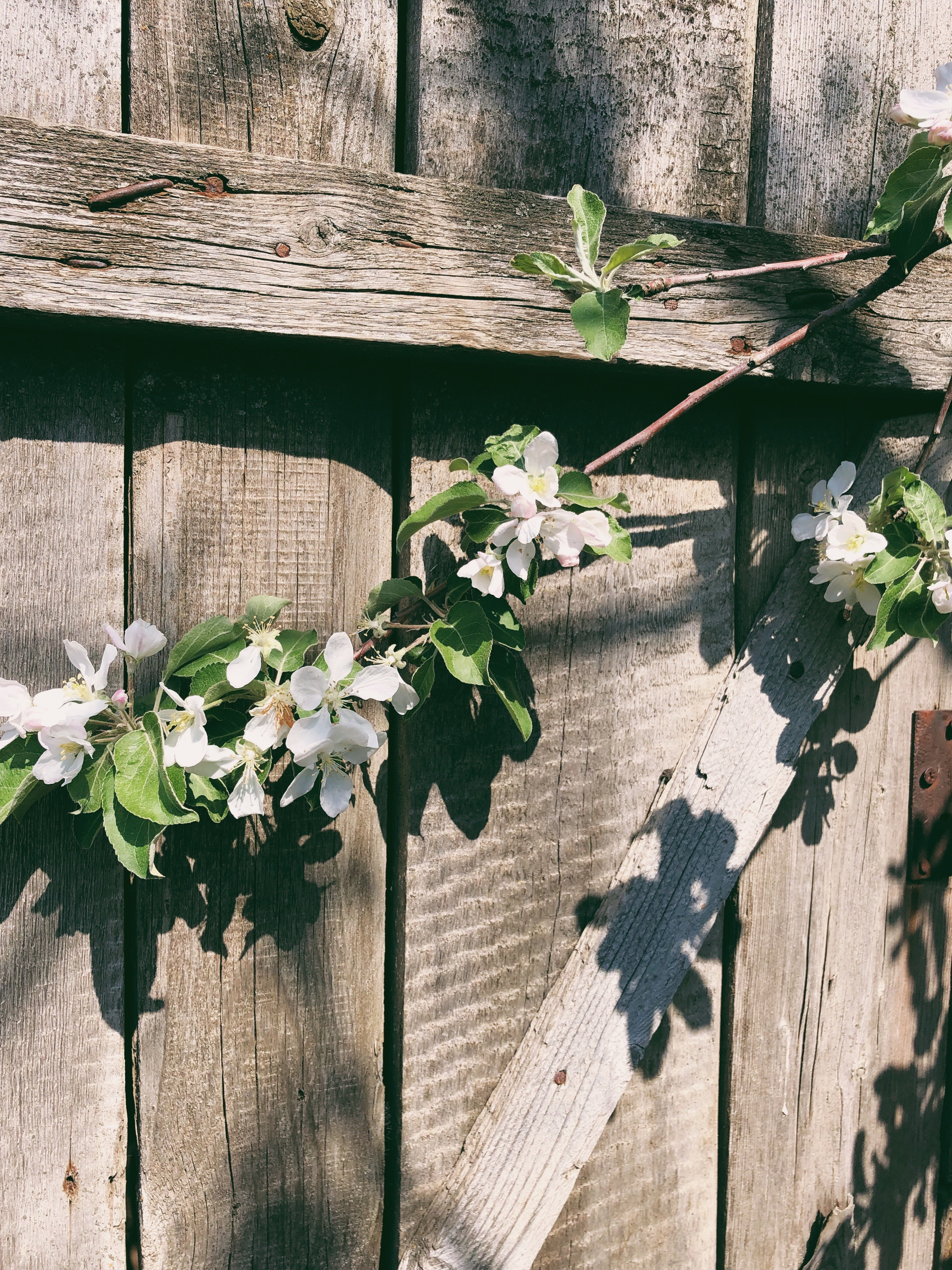 Визуальный дневник. Портретный фотограф в Москве Гахраманова Екатерина