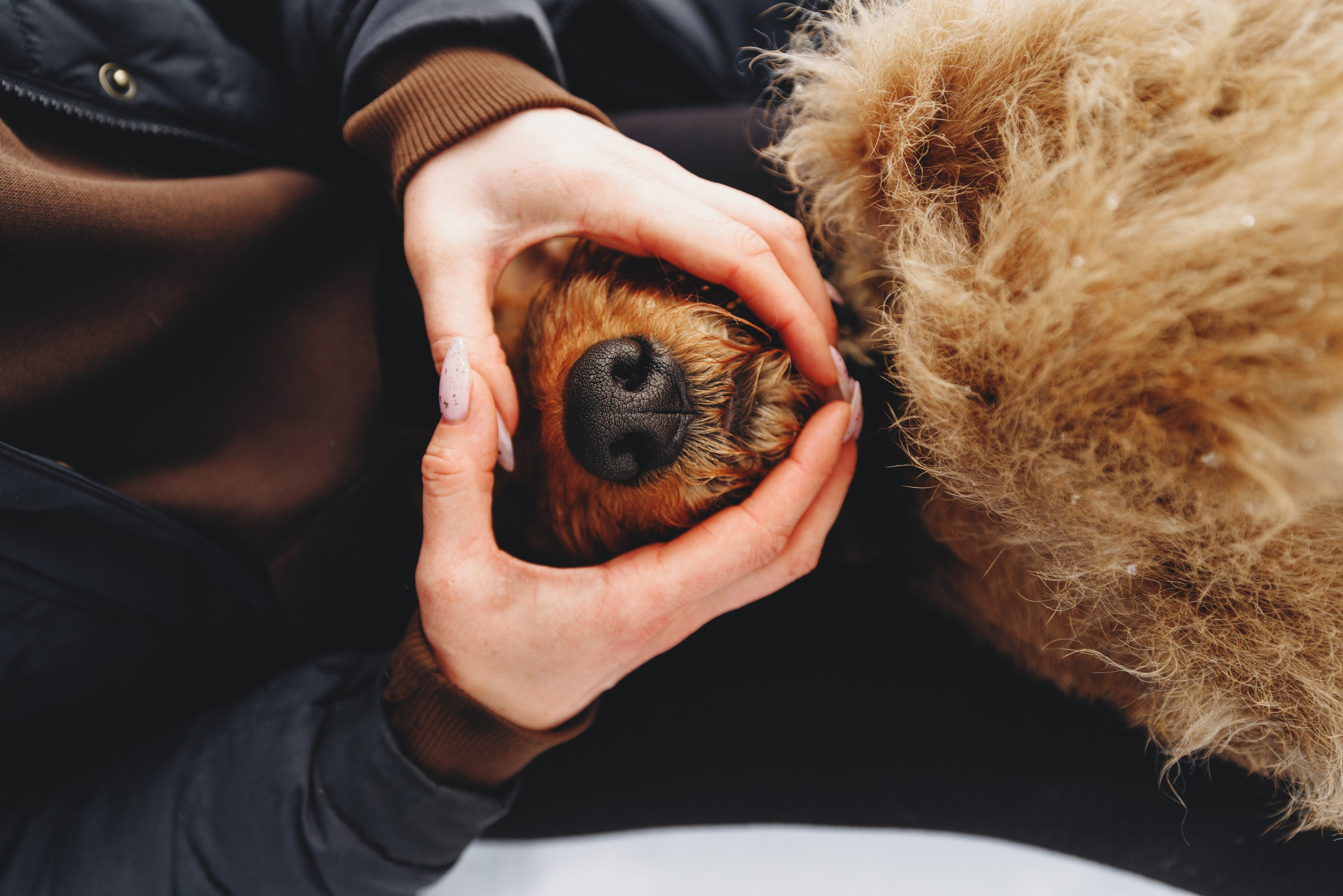 Оля и Хард. Фотограф анималист Осипчикова Мария