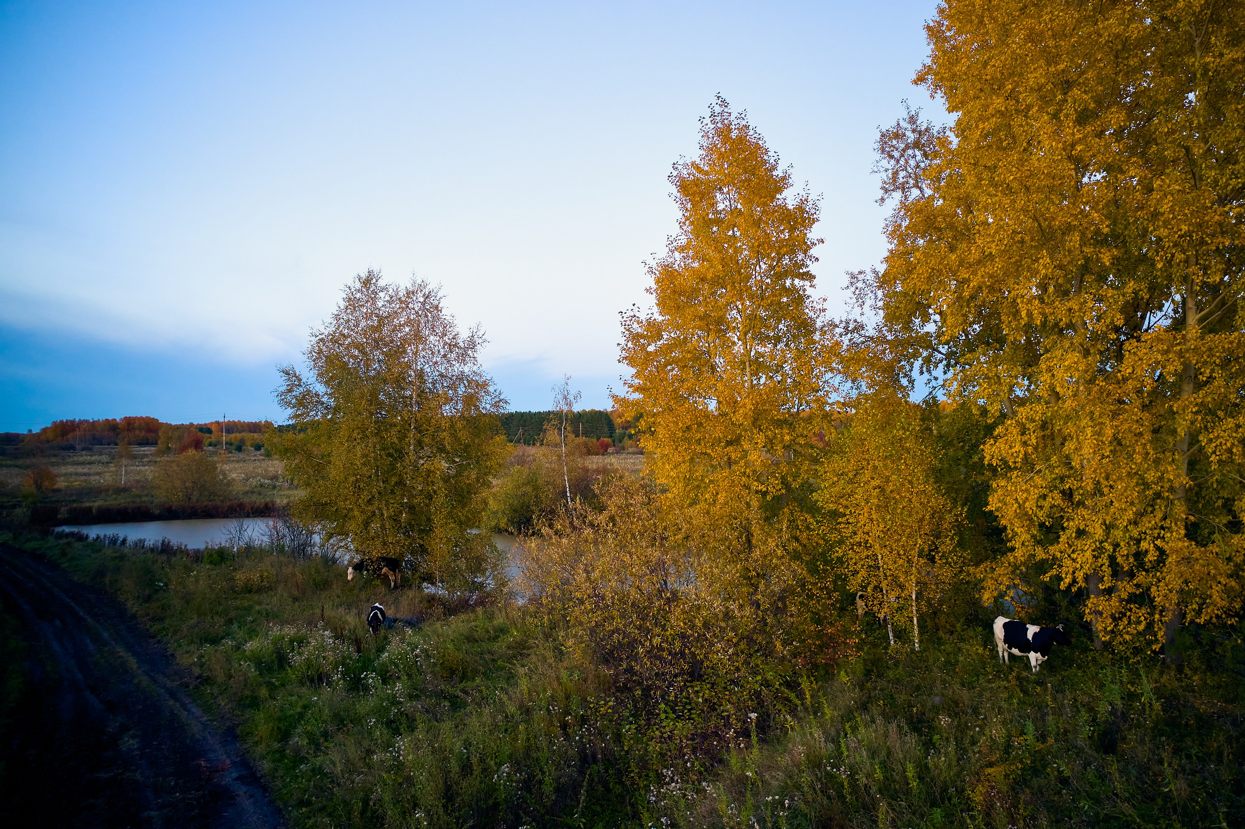 Фото с птичьего полета. DMITRY MOISEENKO — фотограф, художник, топ-стилист