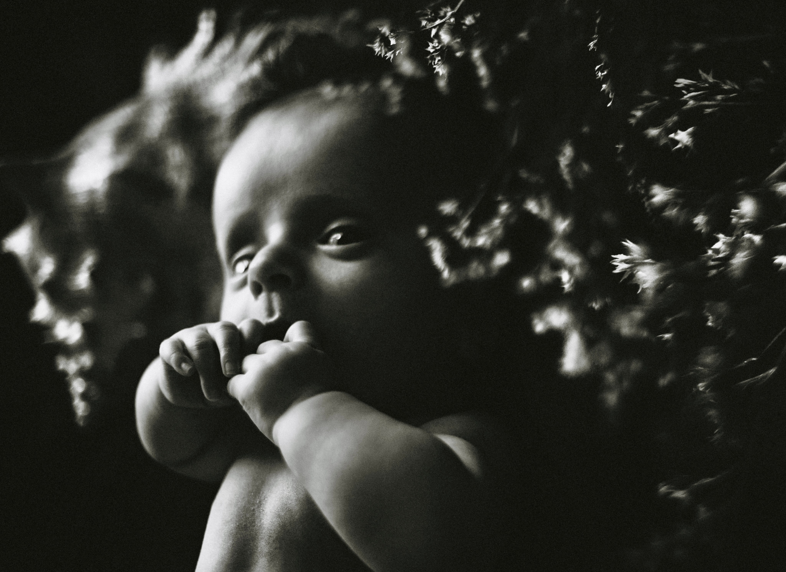 Photo artist Adomas Dombrauskas