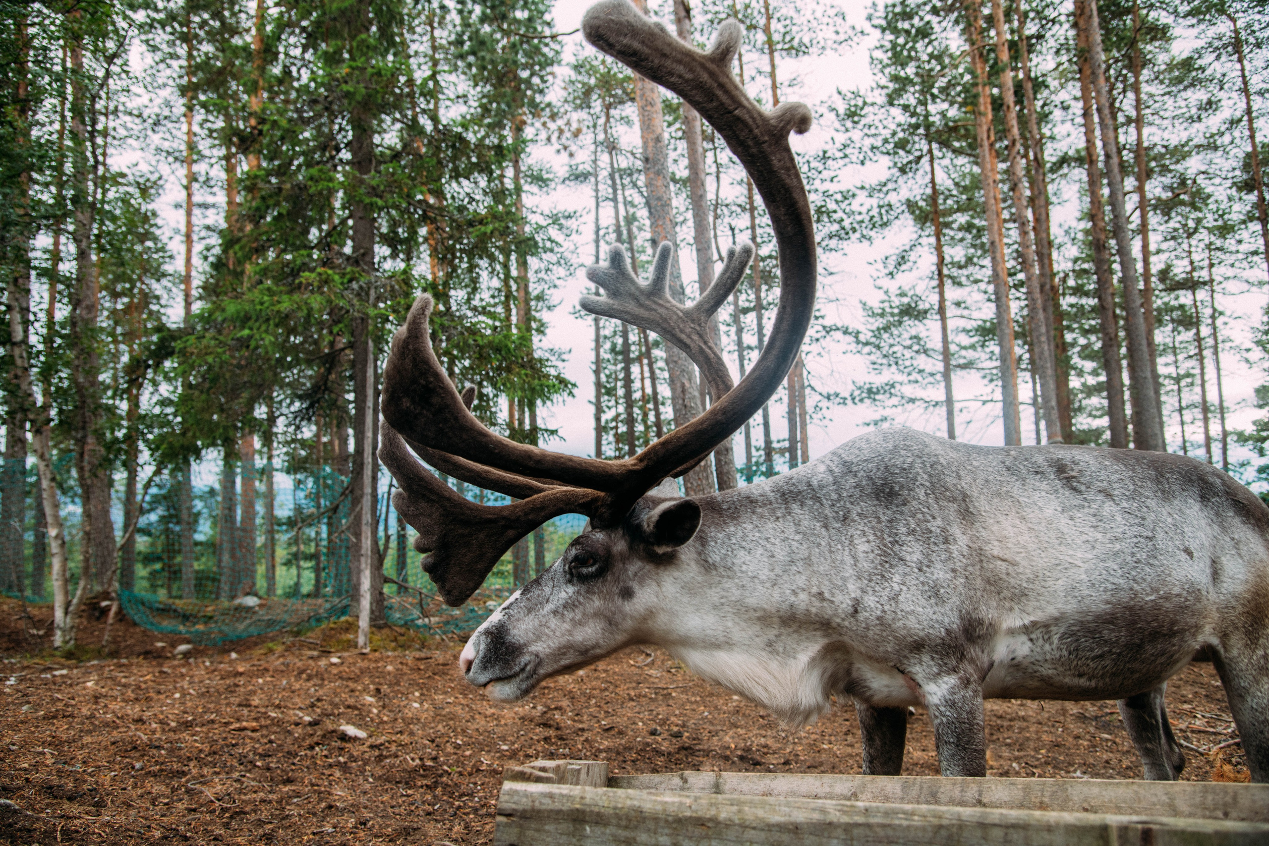 Кольский полуостров. Фотографирую для себя, своей семьи и друзей!