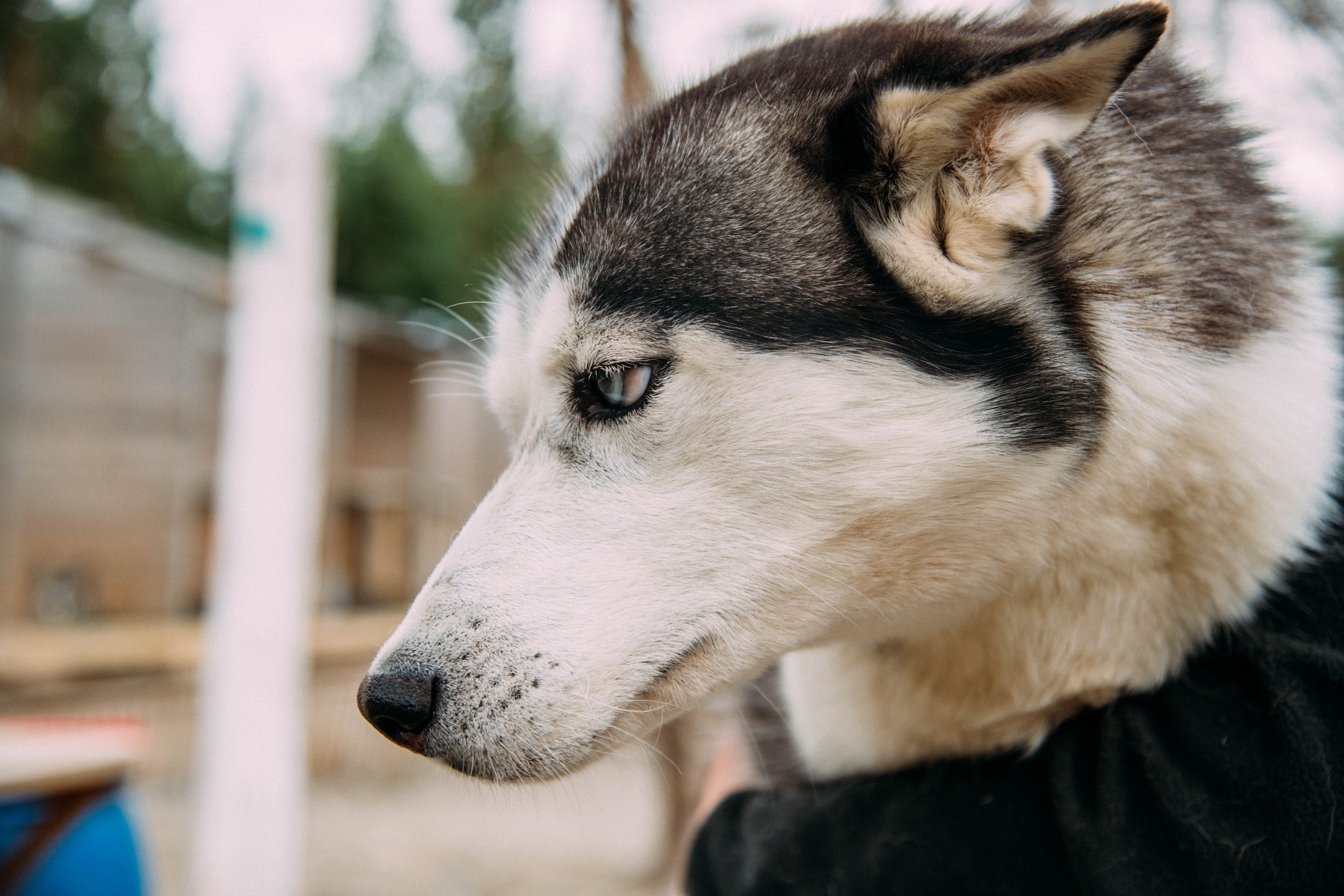 Кольский полуостров. Фотографирую для себя, своей семьи и друзей!