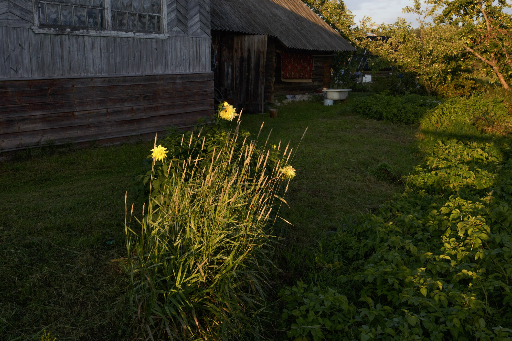 Нить Паулино. Фотограф Юлия Близнецова