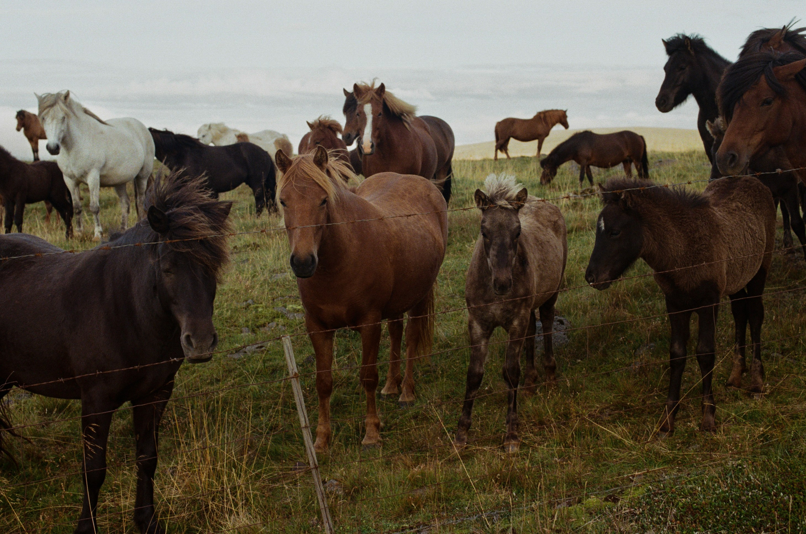 Unravelling // iceland, 724. EVER EXPOSED