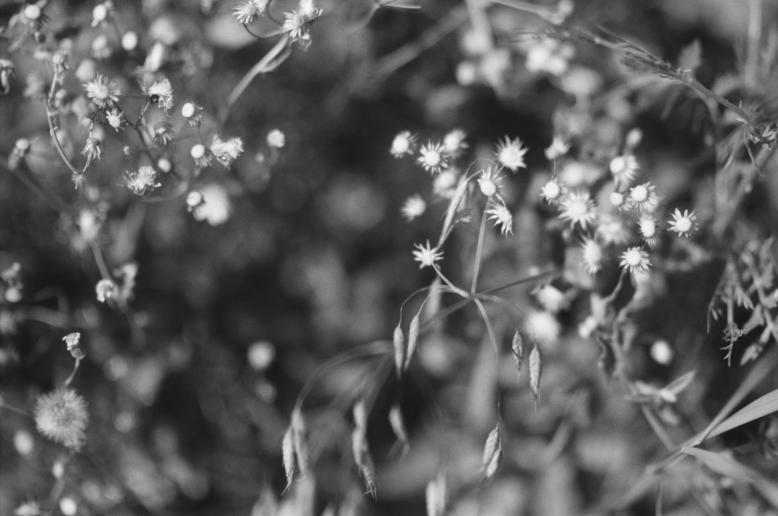 Plastinki // ukraine, crimea III. EVER EXPOSED