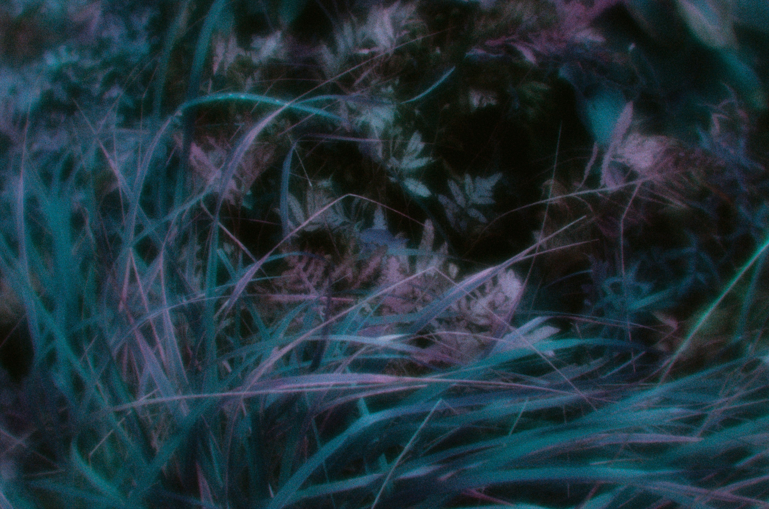 Everything i could never say to you II. EVER EXPOSED