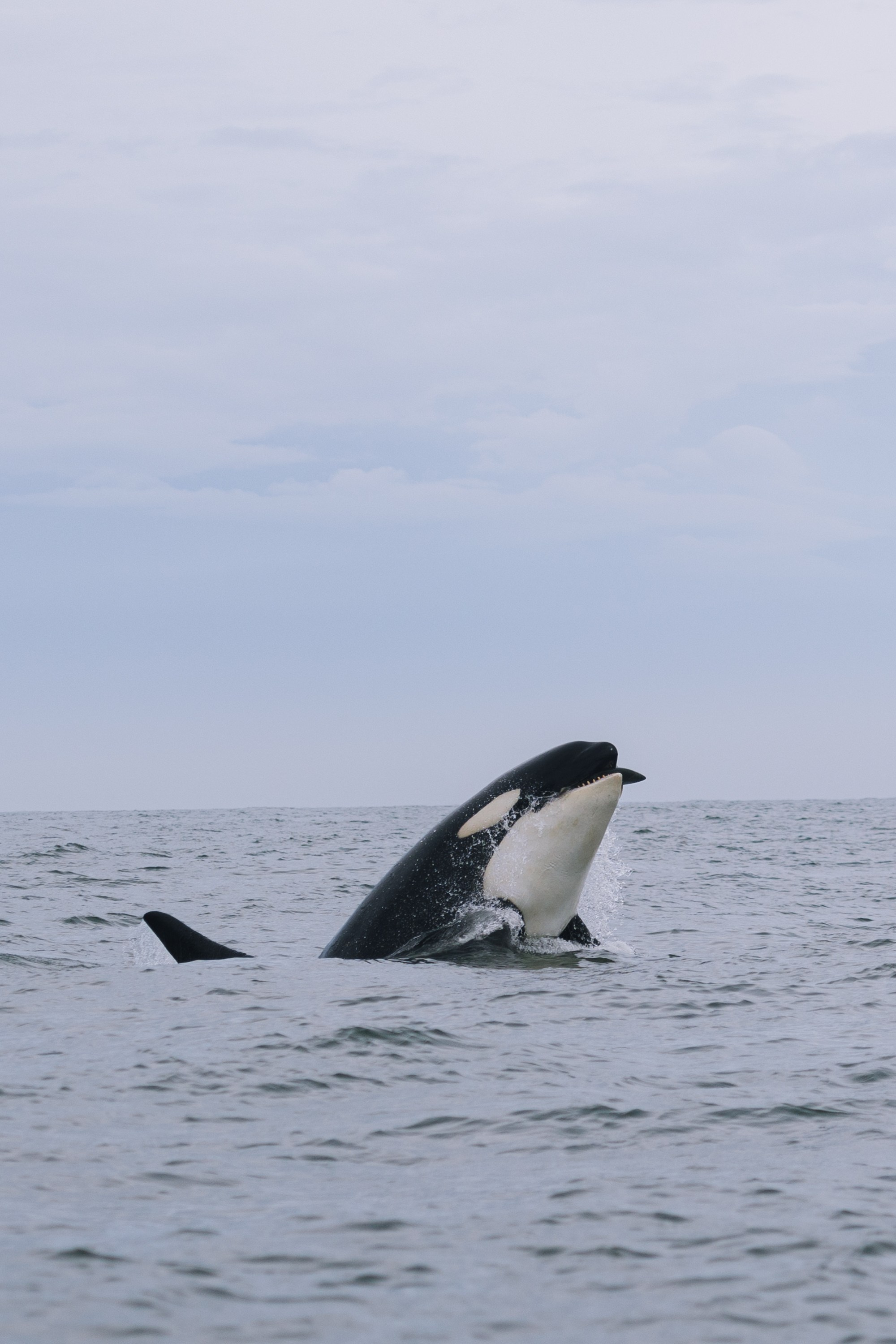 Репортаж туризм. Фотограф на Камчатке
