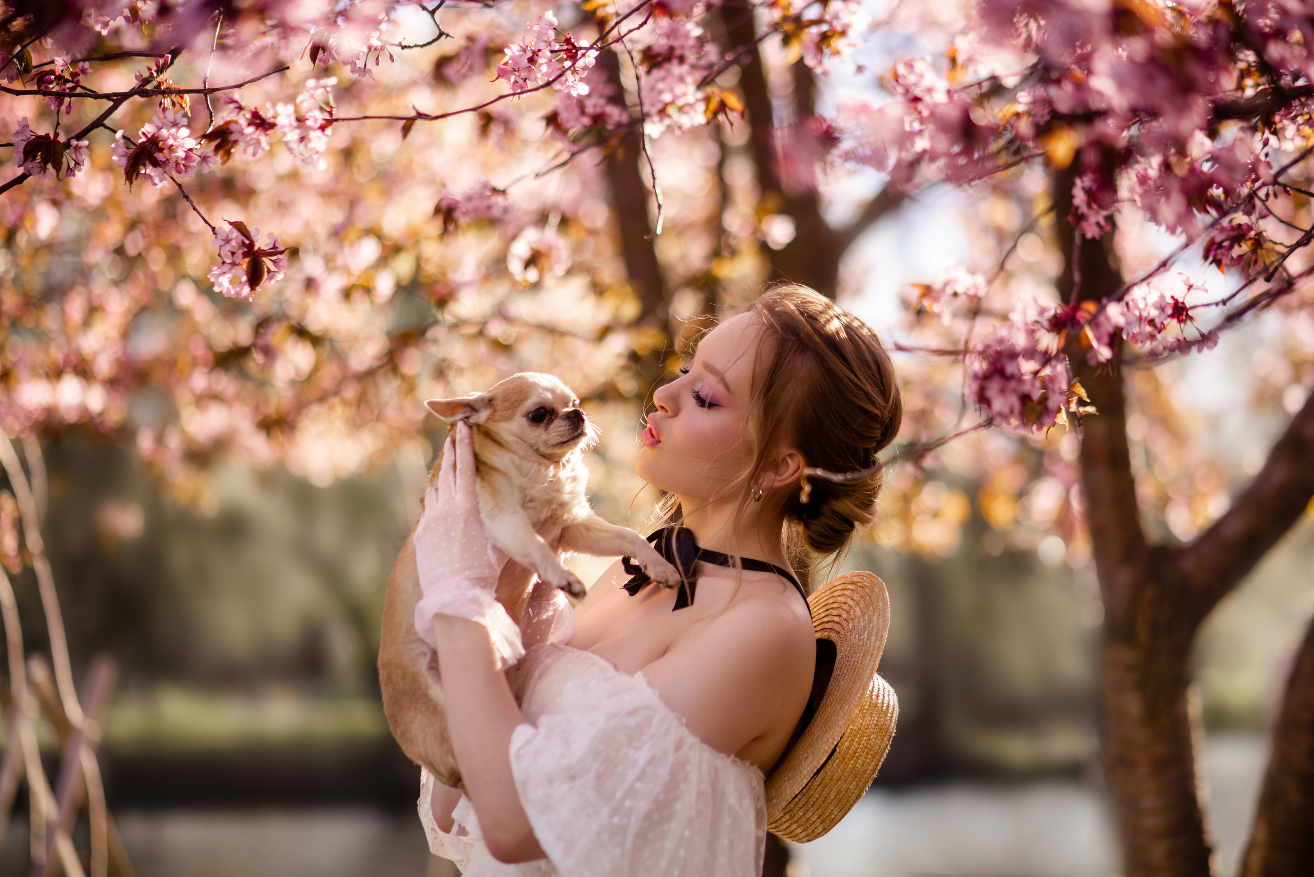 Сакура. Елизавета. Свадебный и семейный фотограф в СПб Валерия Фомичева