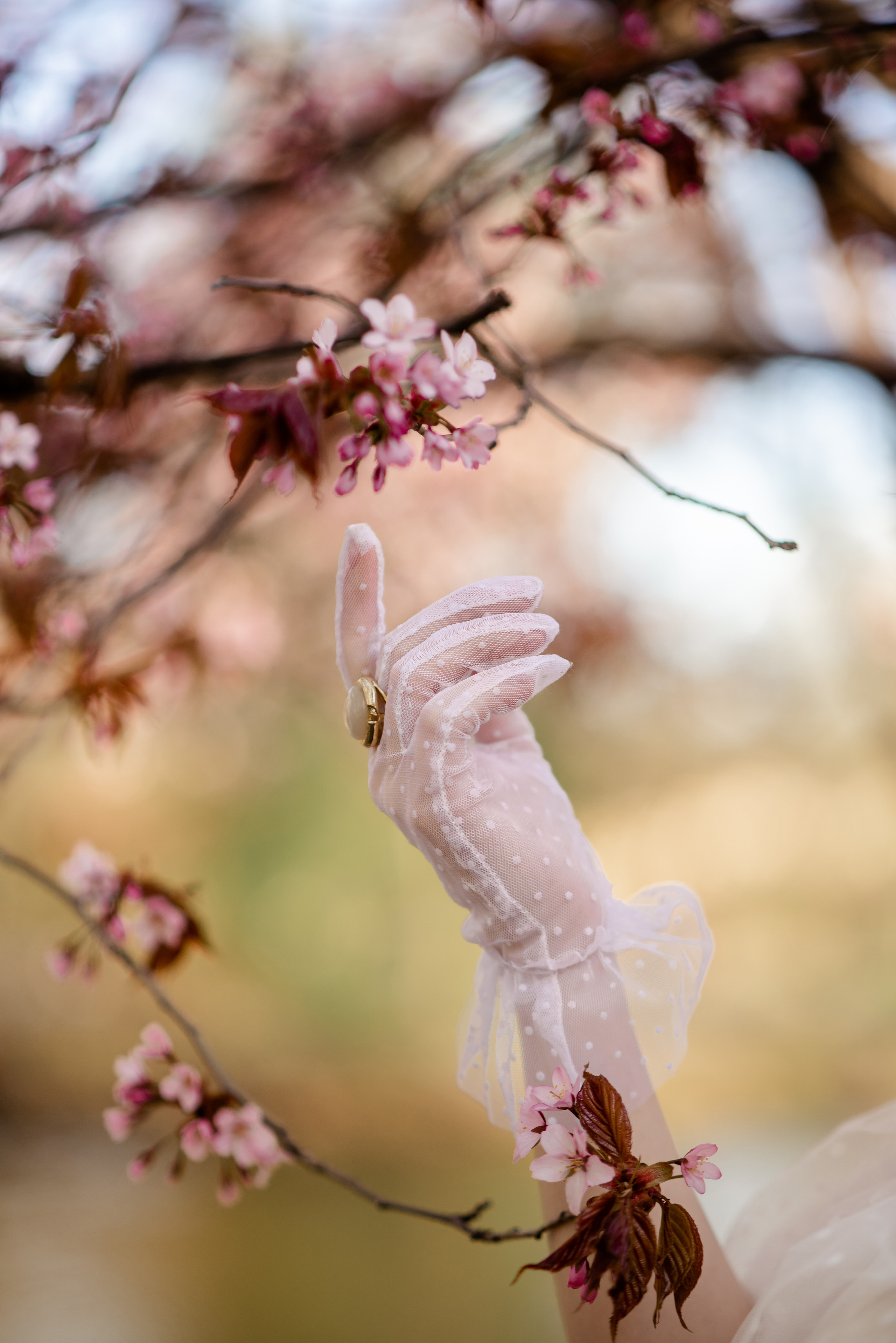 Сакура. Елизавета. Свадебный и семейный фотограф в СПб Валерия Фомичева
