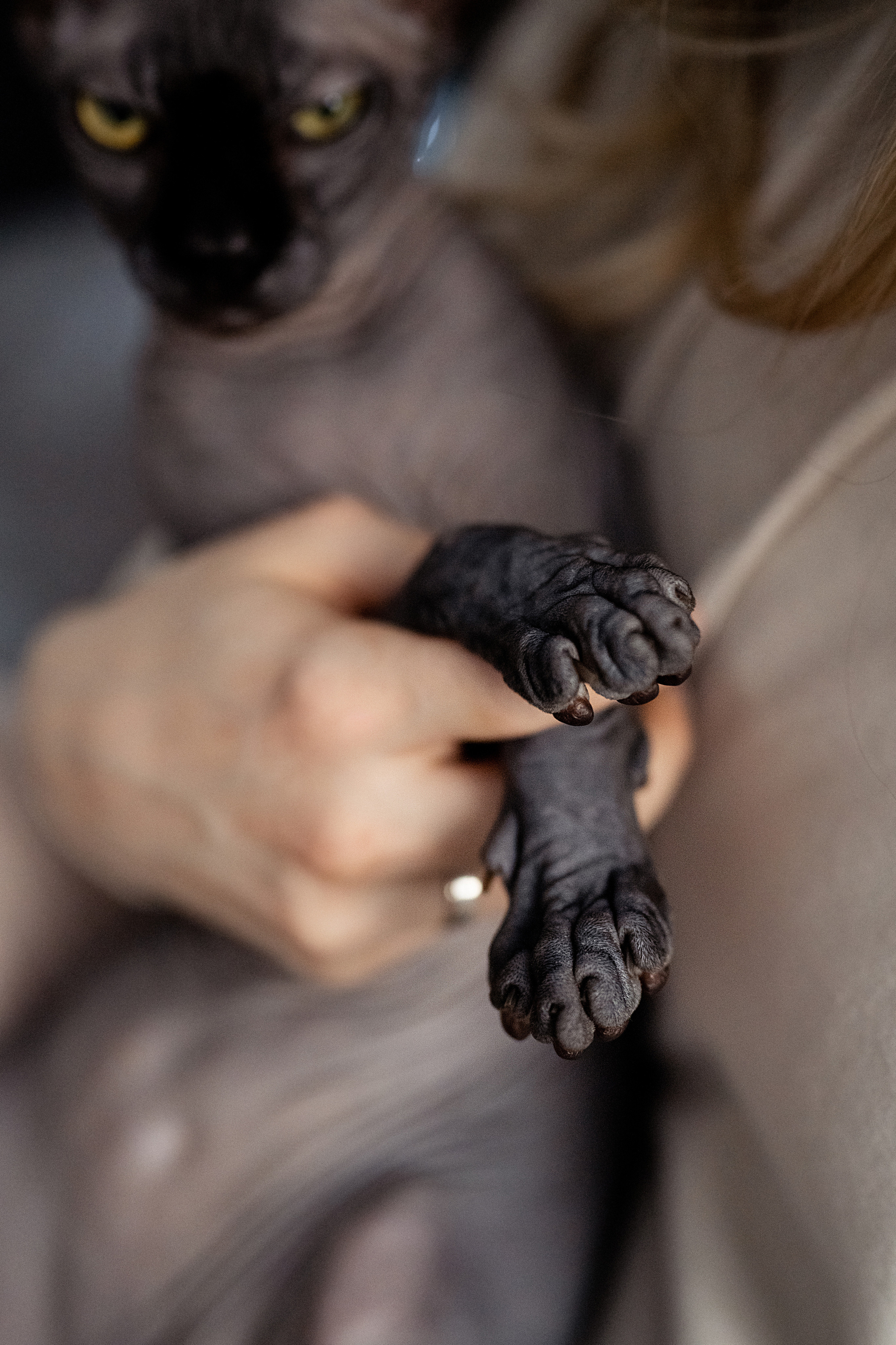 Домашняя фотосессия. Лера, Антон и Марк. Свадебный и семейный фотограф в СПб Валерия Фомичева