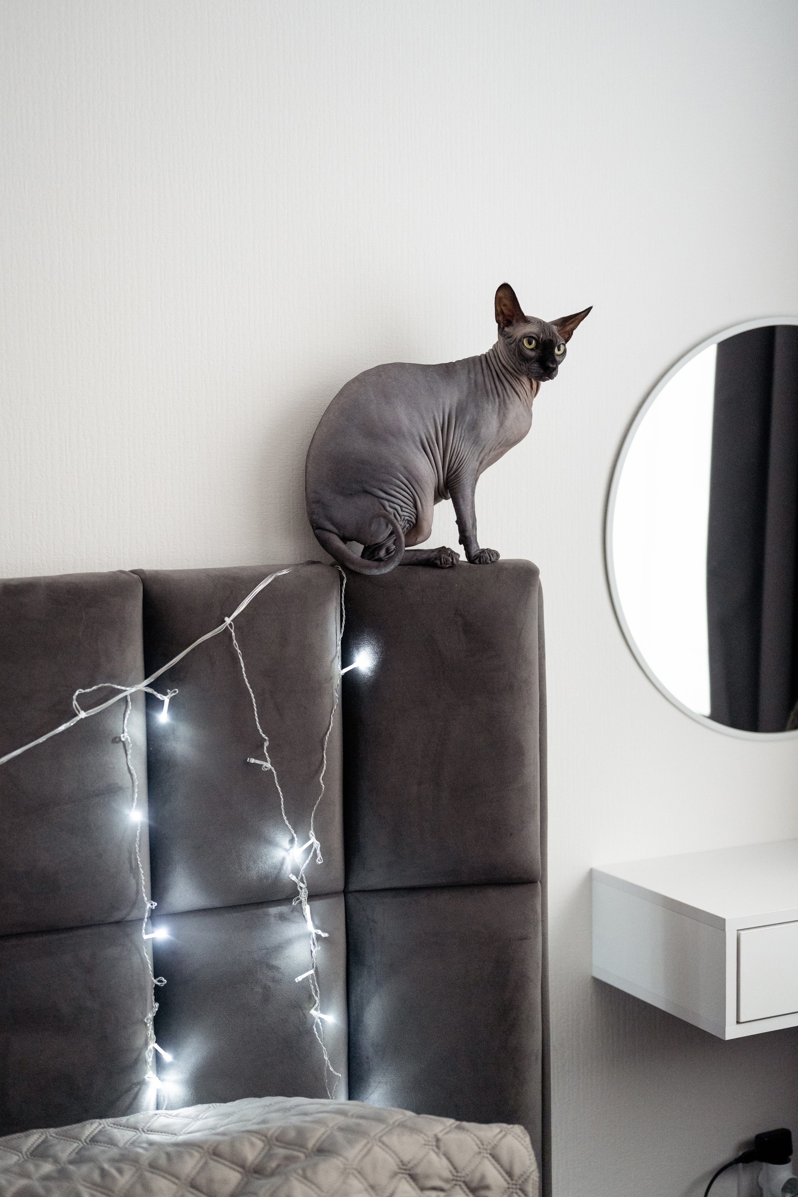 Домашняя фотосессия. Лера, Антон и Марк. Свадебный и семейный фотограф в СПб Валерия Фомичева