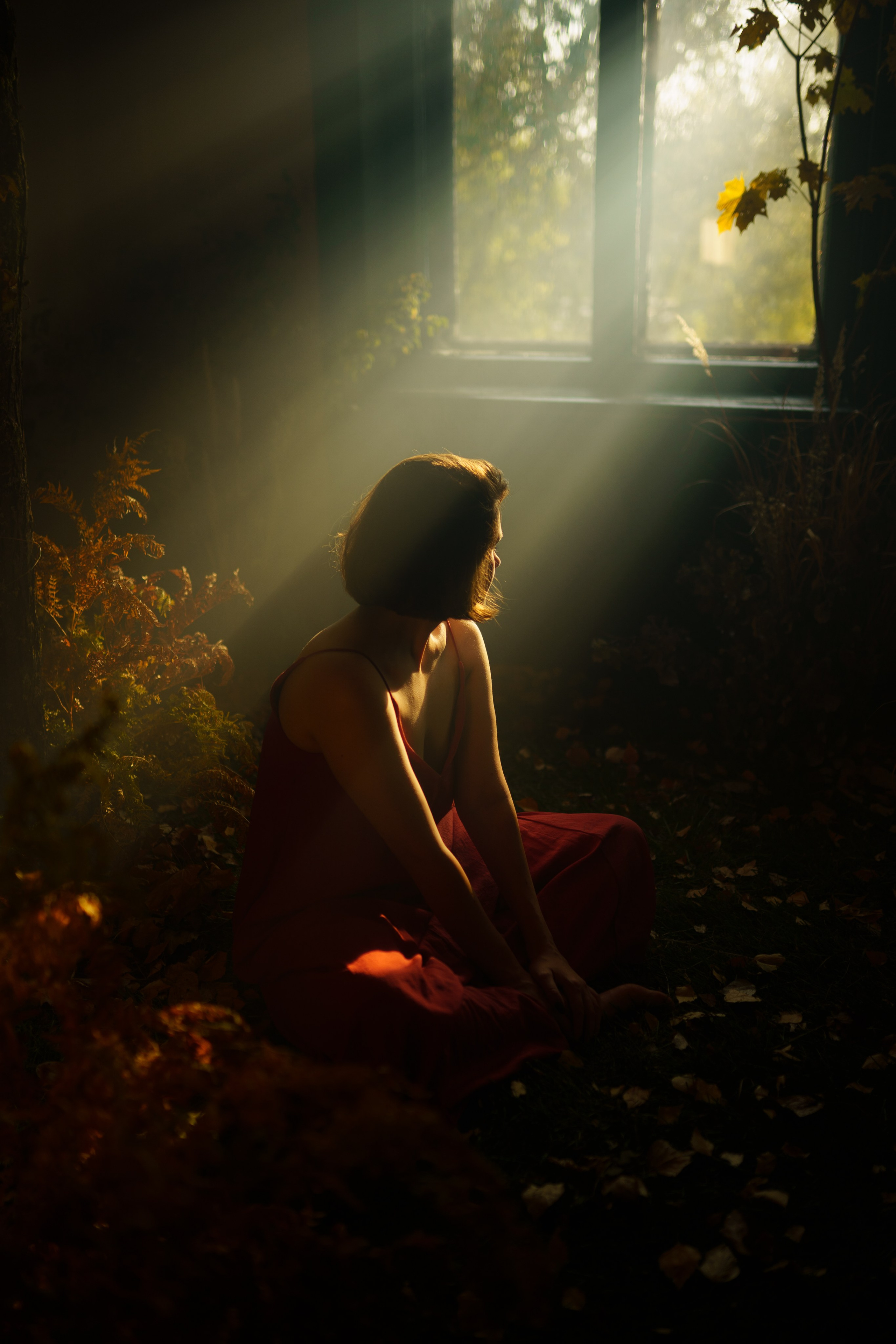 Творчество. PhotoLab