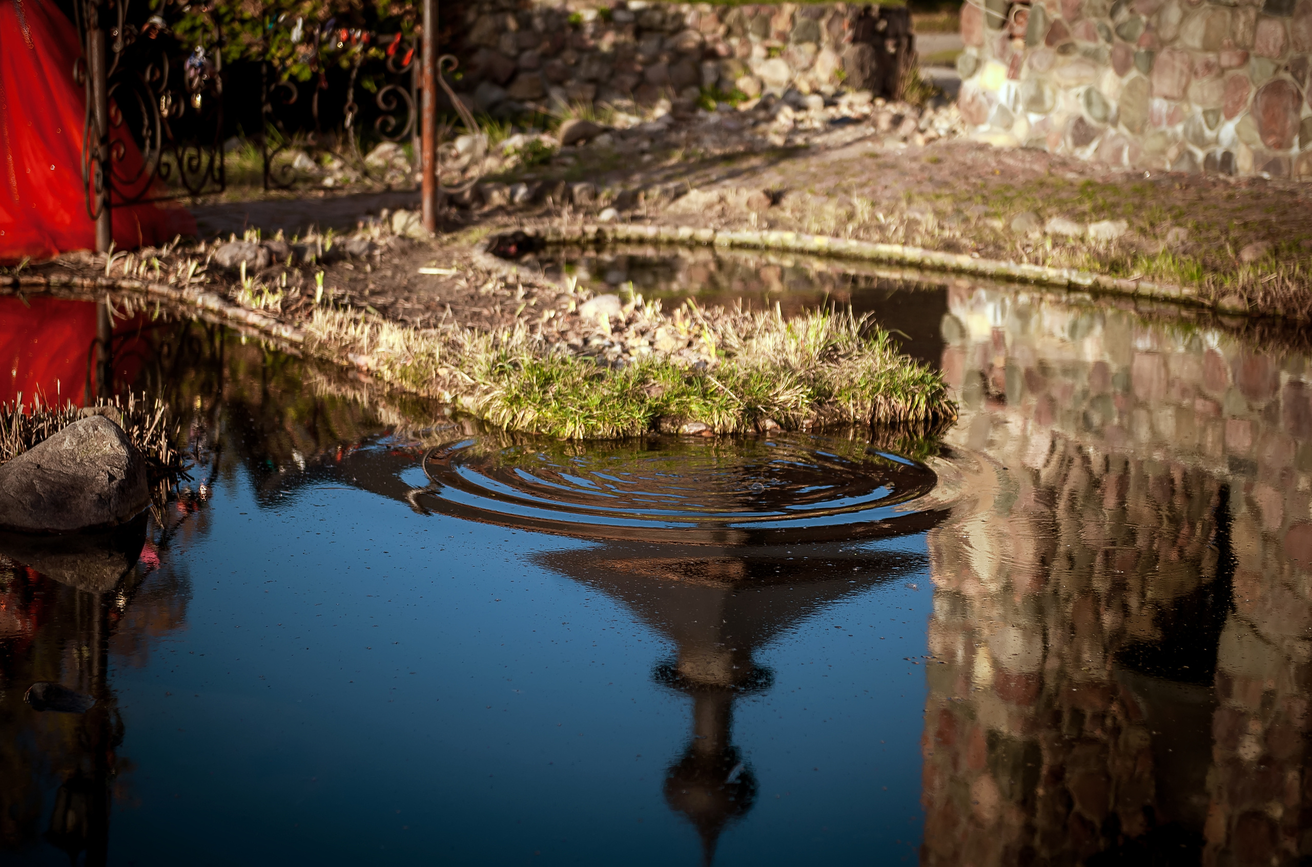 Осенняя свадьба в Щелково. Свадебный и семейный фотограф Виктория Носачёва. Щелково, Москва и МО