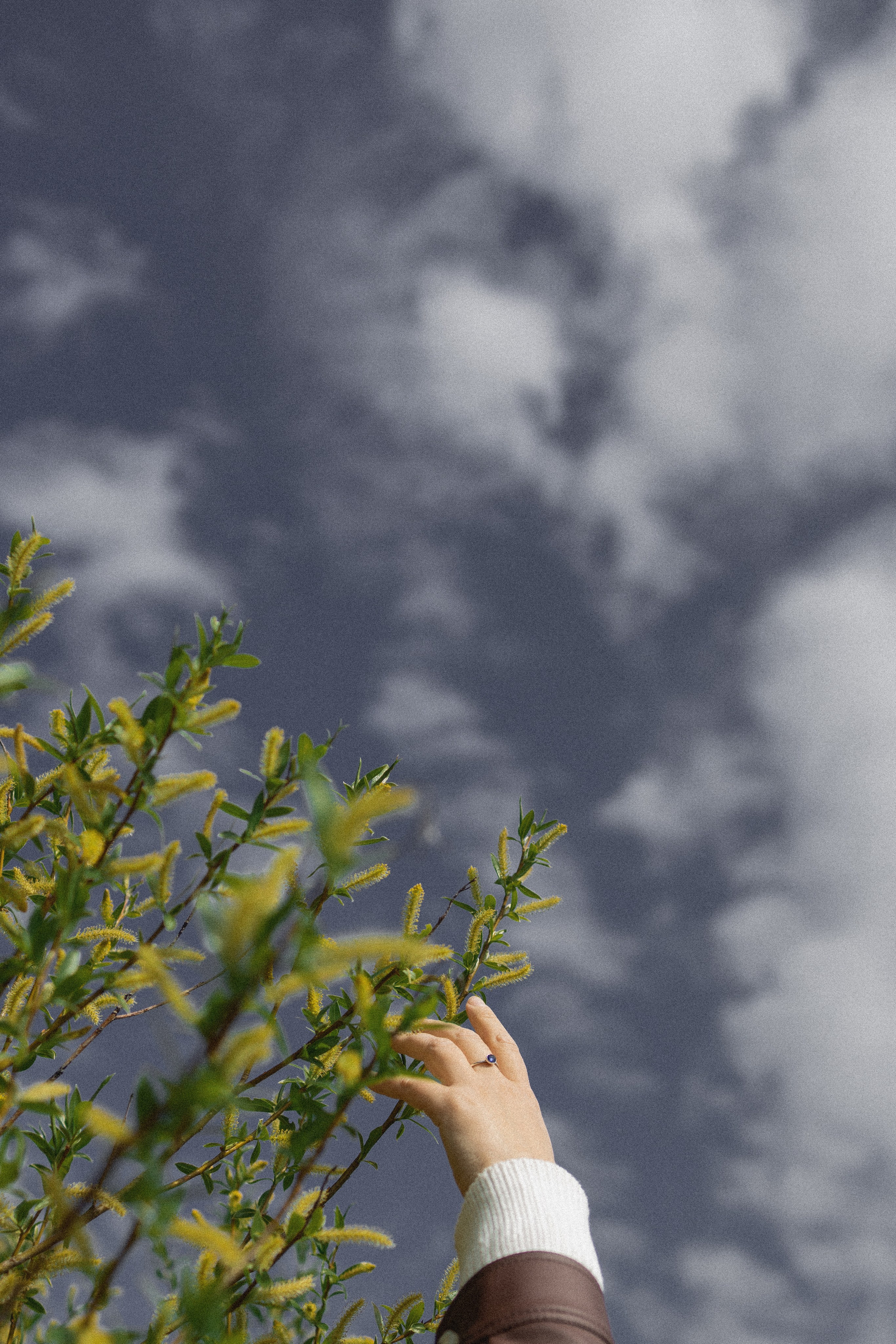 Эстетика П р о Я в л е н и я. Виноградова Маргарита. Фотограф P r o Явления