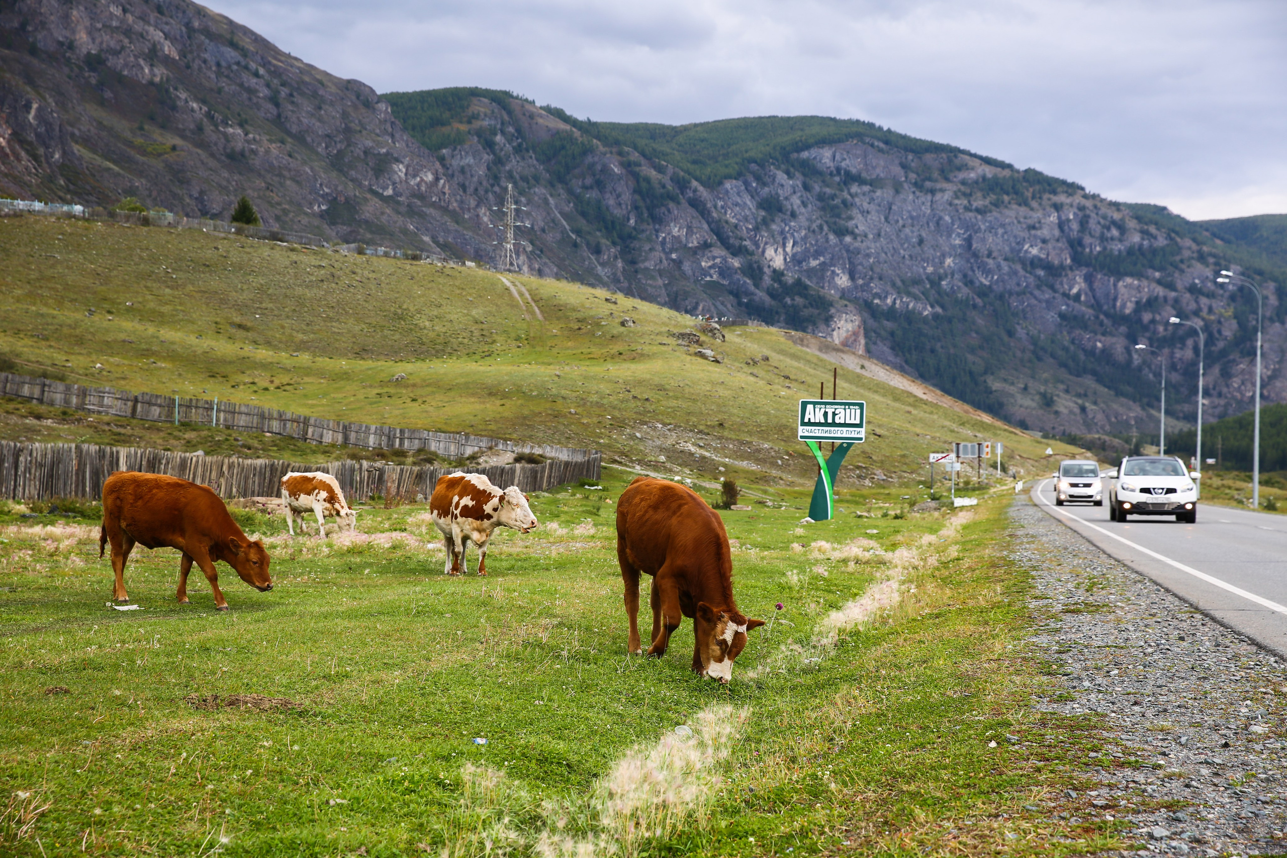 Алтай. Репортажный фотограф в Москве Зуйко Оксана