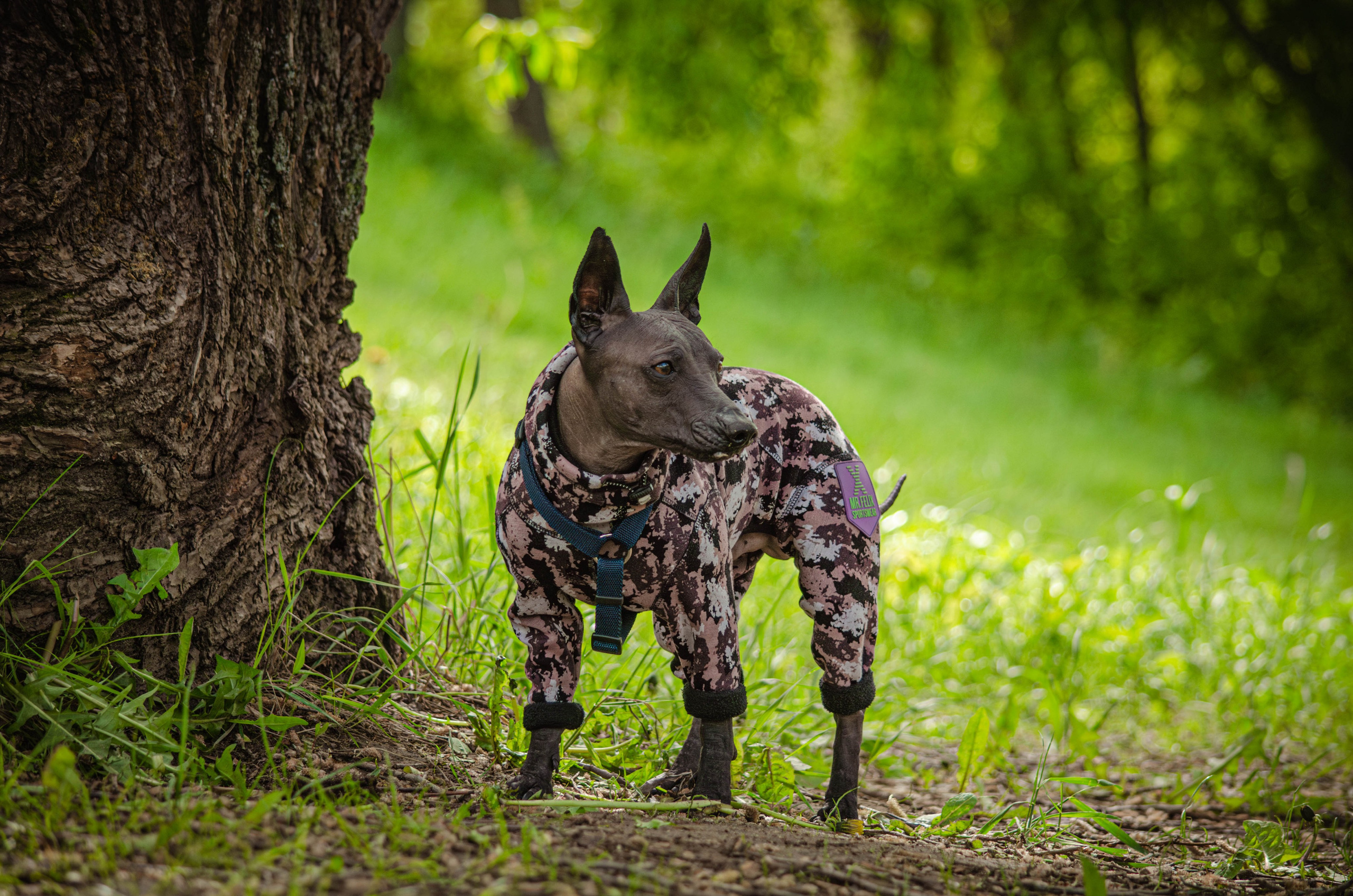 Сёма. Фотограф Светлана Блинова, Москва и Московская область