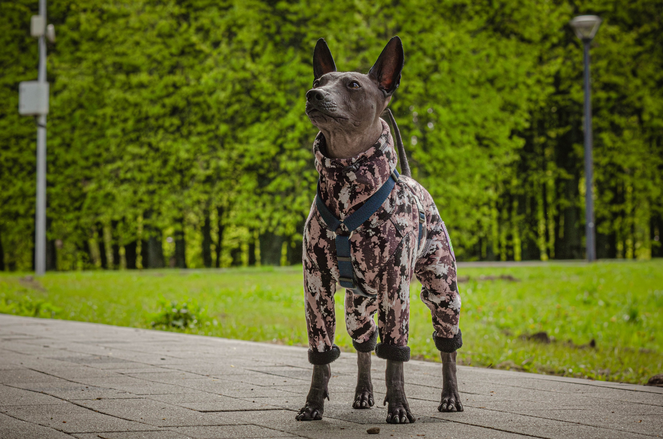 Сёма. Фотограф Светлана Блинова, Москва и Московская область
