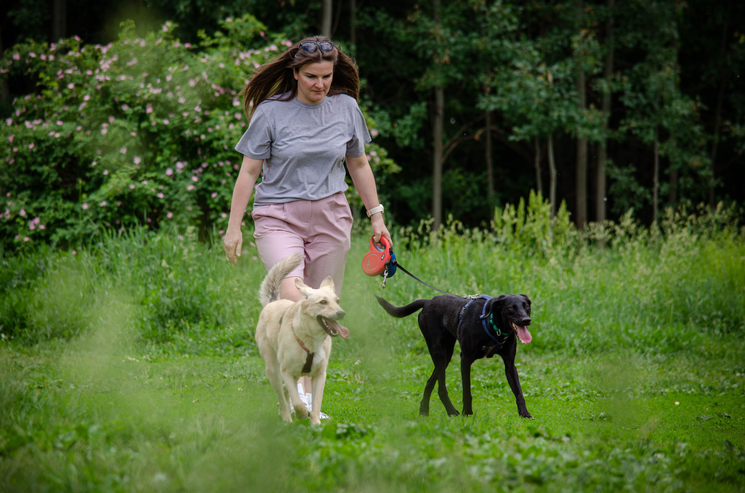 Мира и Барон. Фотограф Светлана Блинова, Москва и Московская область