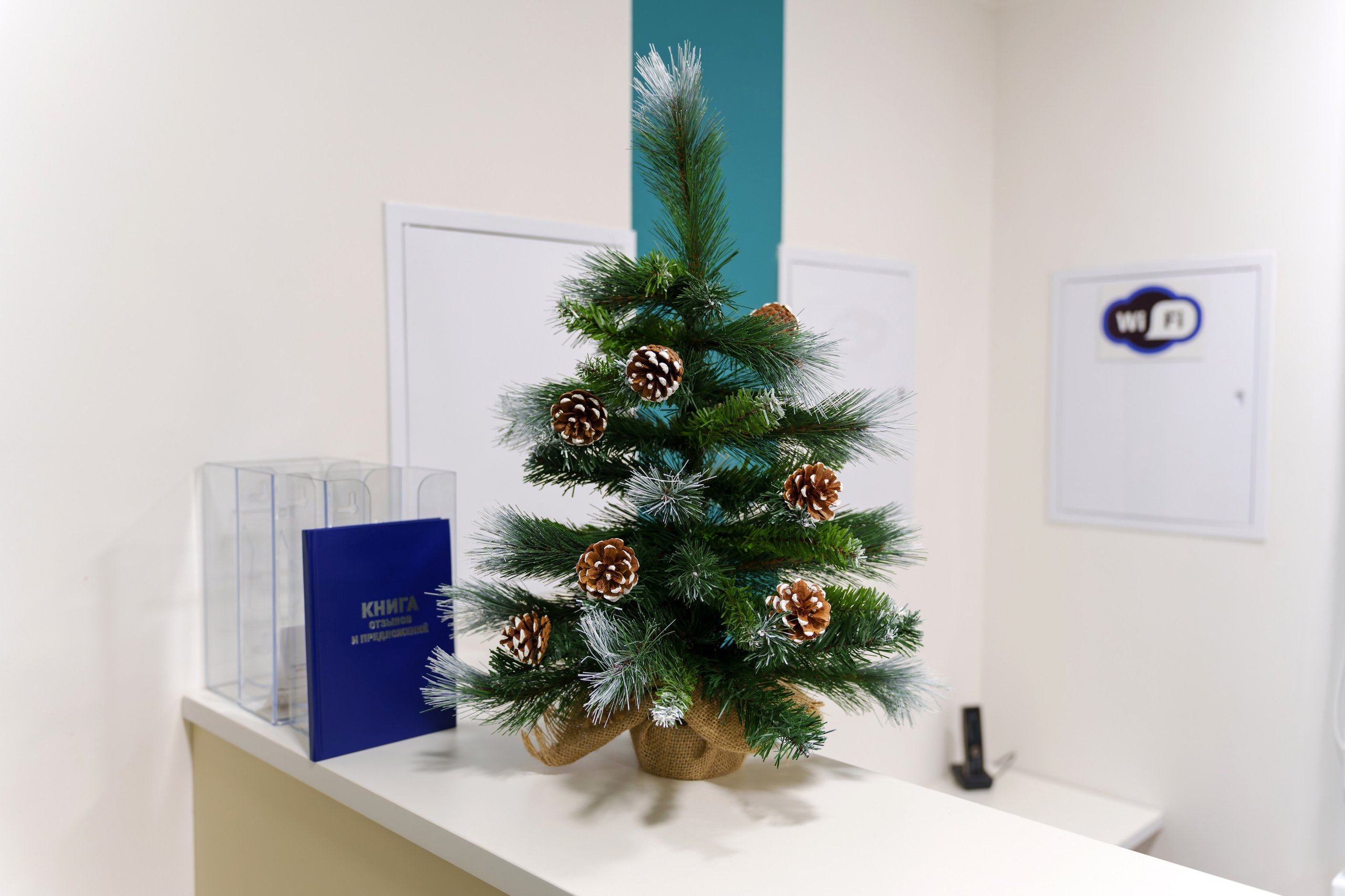 ЦДЗ «Доктория». Фотограф в Туле и области Константин Гудовичев