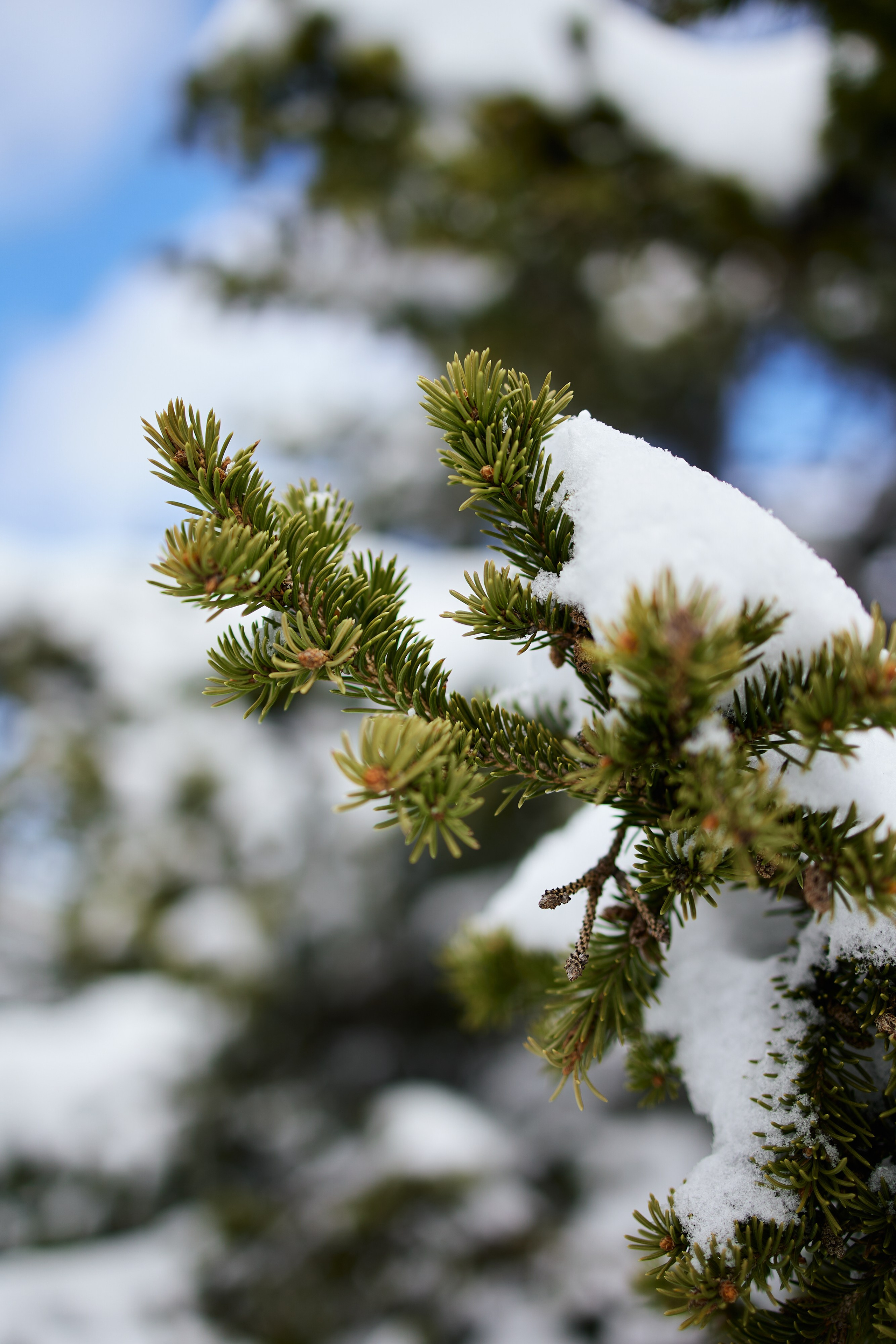 Поход Таганай. Хороший репортажный и промышленный фотограф в Казани Алексей Щелконогов