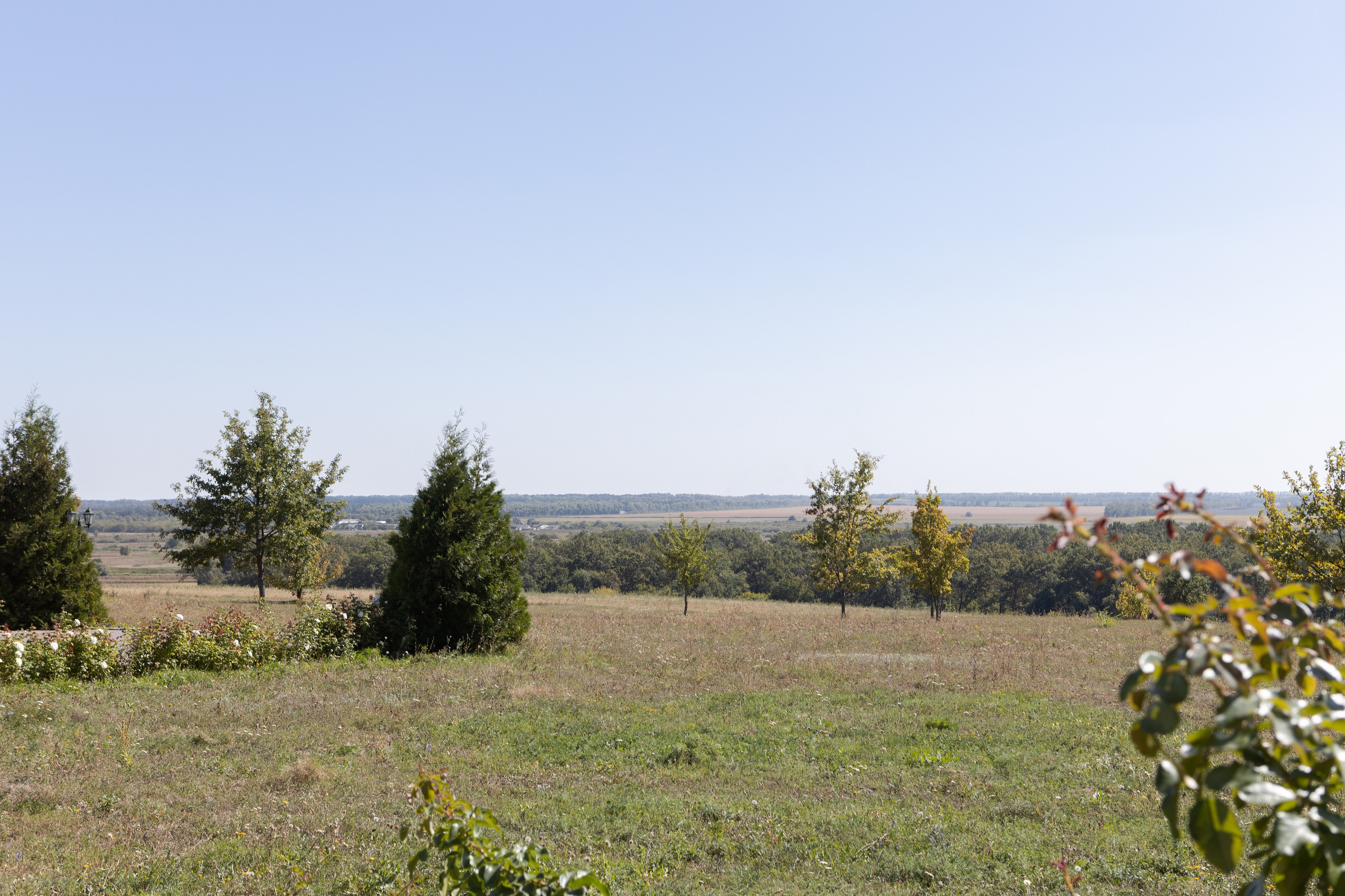 Саша и Виталия. Свадебный фотограф в Воронеже Вероника Богай
