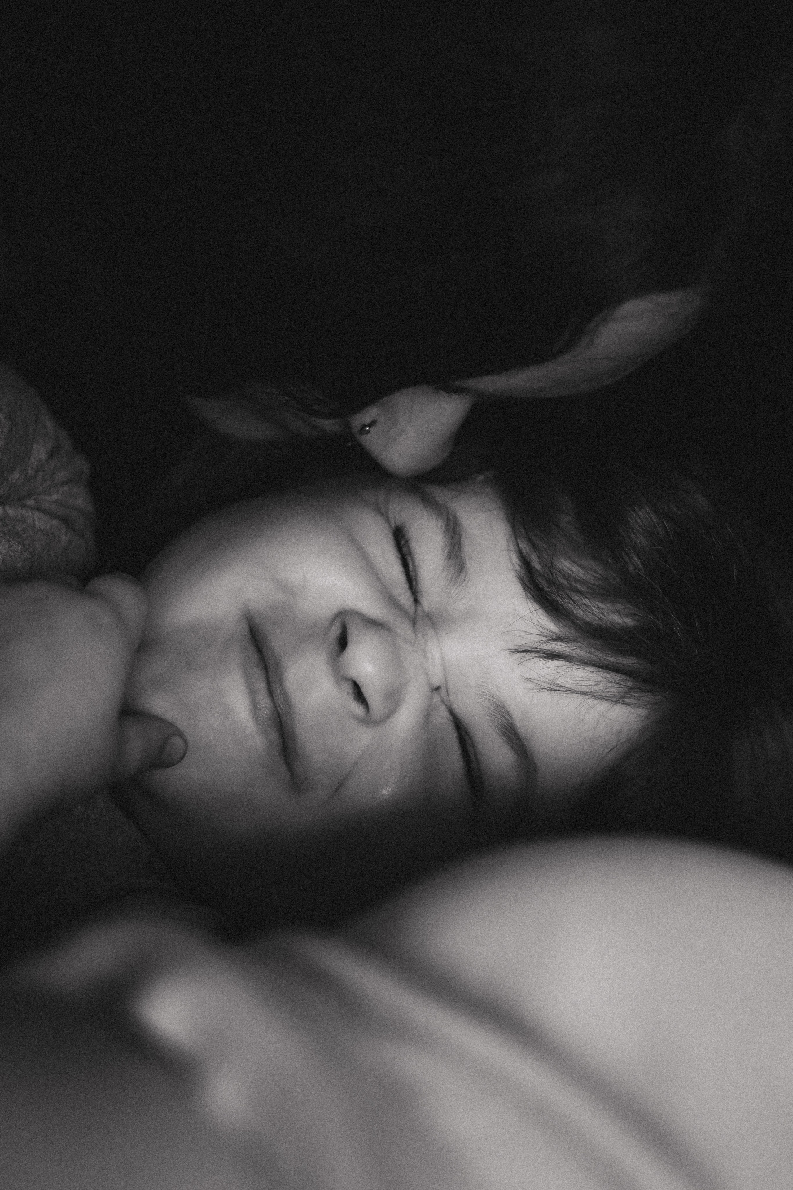 Один день из жизни Миланы. Phbyadel.wfolio.pro