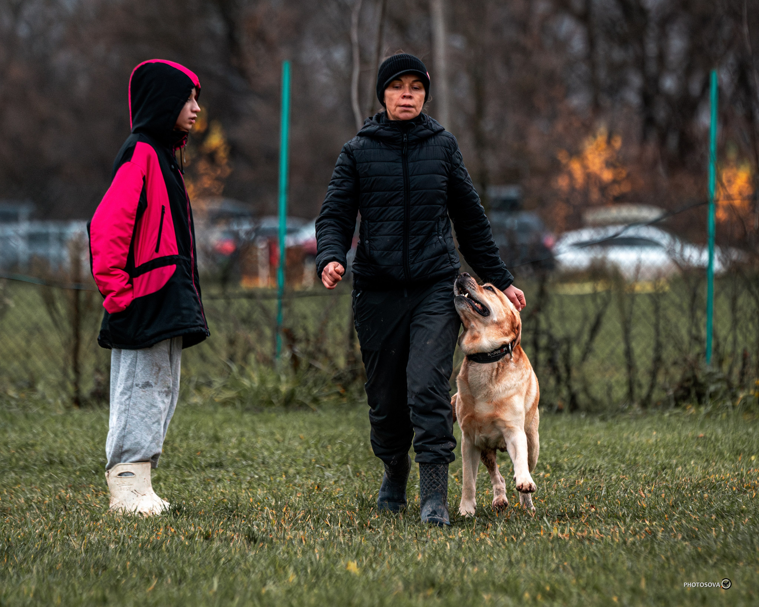 МЫ — КОМАНДА (соревнования) OKD, BH, IBGH, IGP. Фотограф-анималист, семейный фотограф в Москве и Подмосковье. Фотосъёмка кинологических дисциплин
