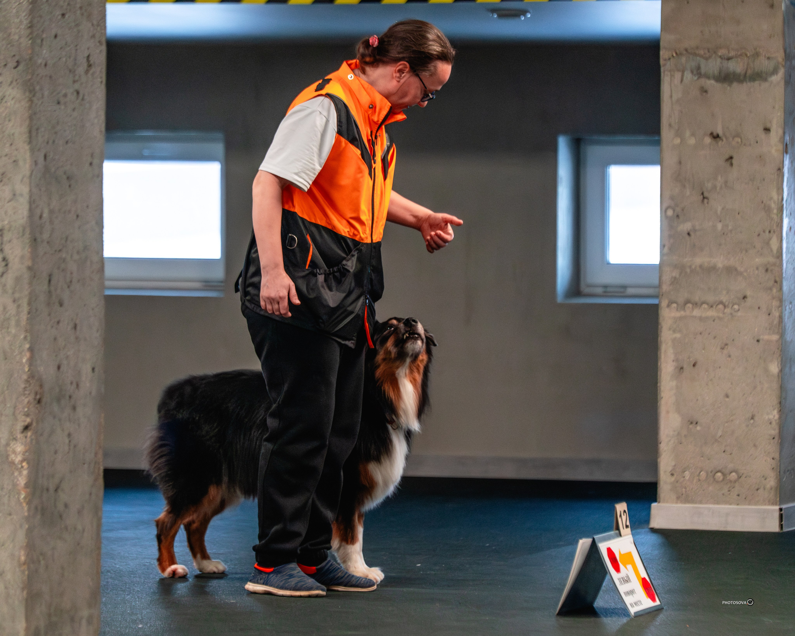 ТЫ И Я (соревнования по ралли-обидиенс). Фотограф-анималист, семейный фотограф в Москве и Подмосковье. Фотосъёмка кинологических дисциплин