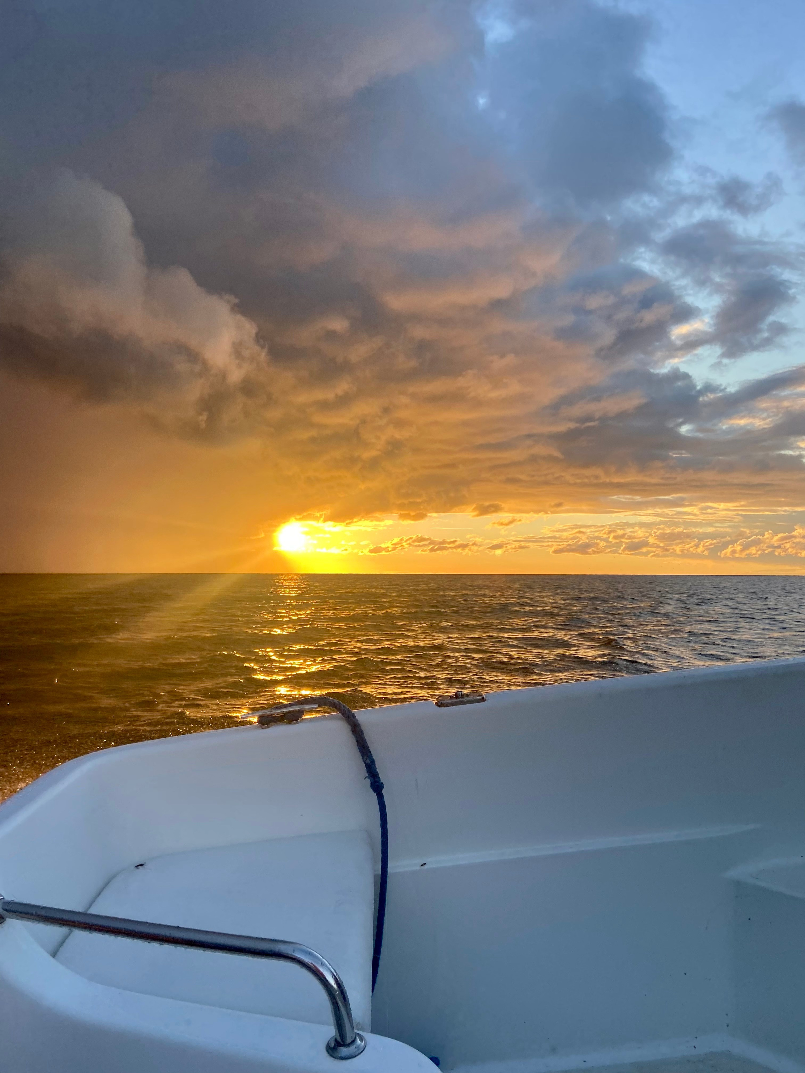 Автор: Екатерина Тимофеенко