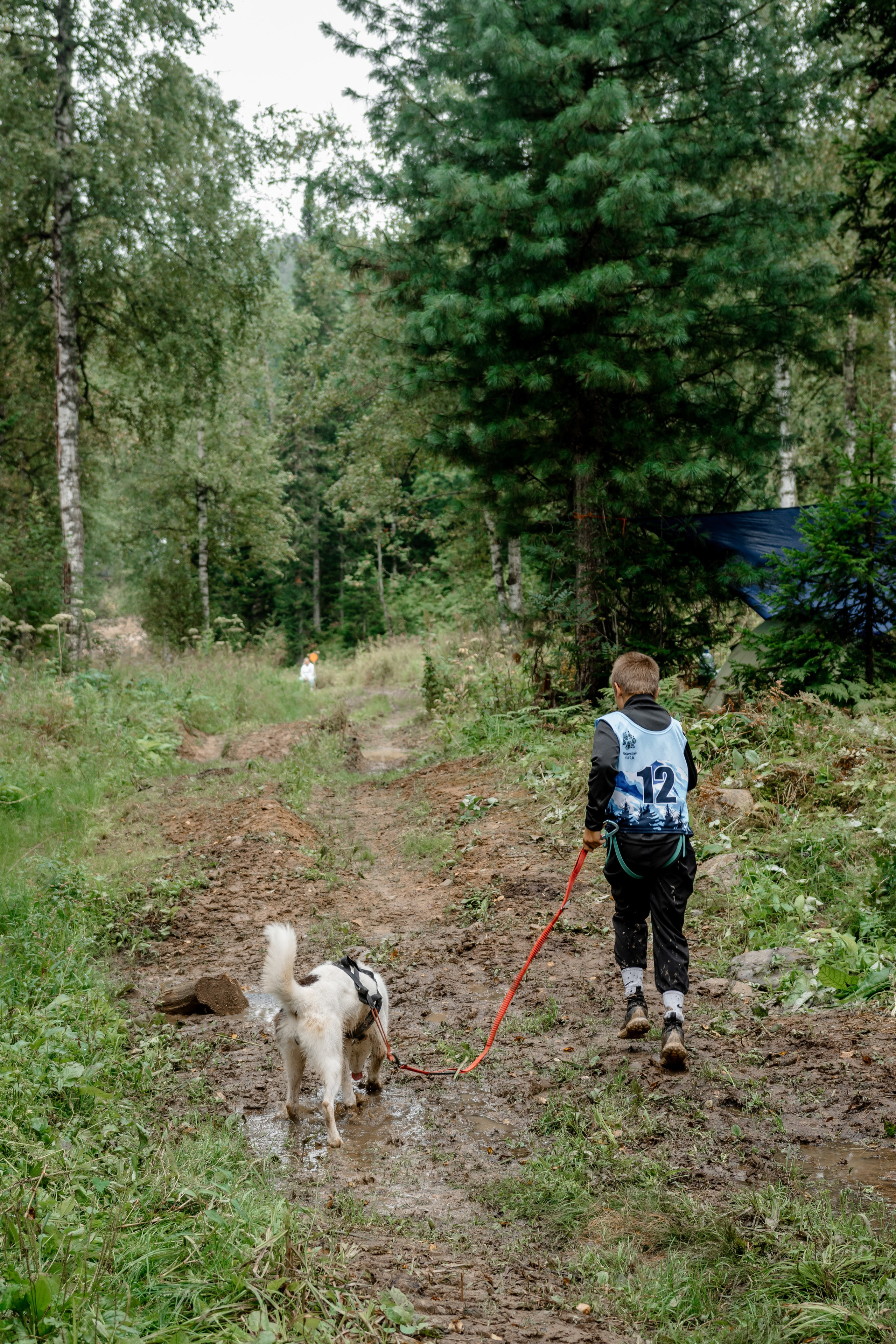 Дог-треккинг