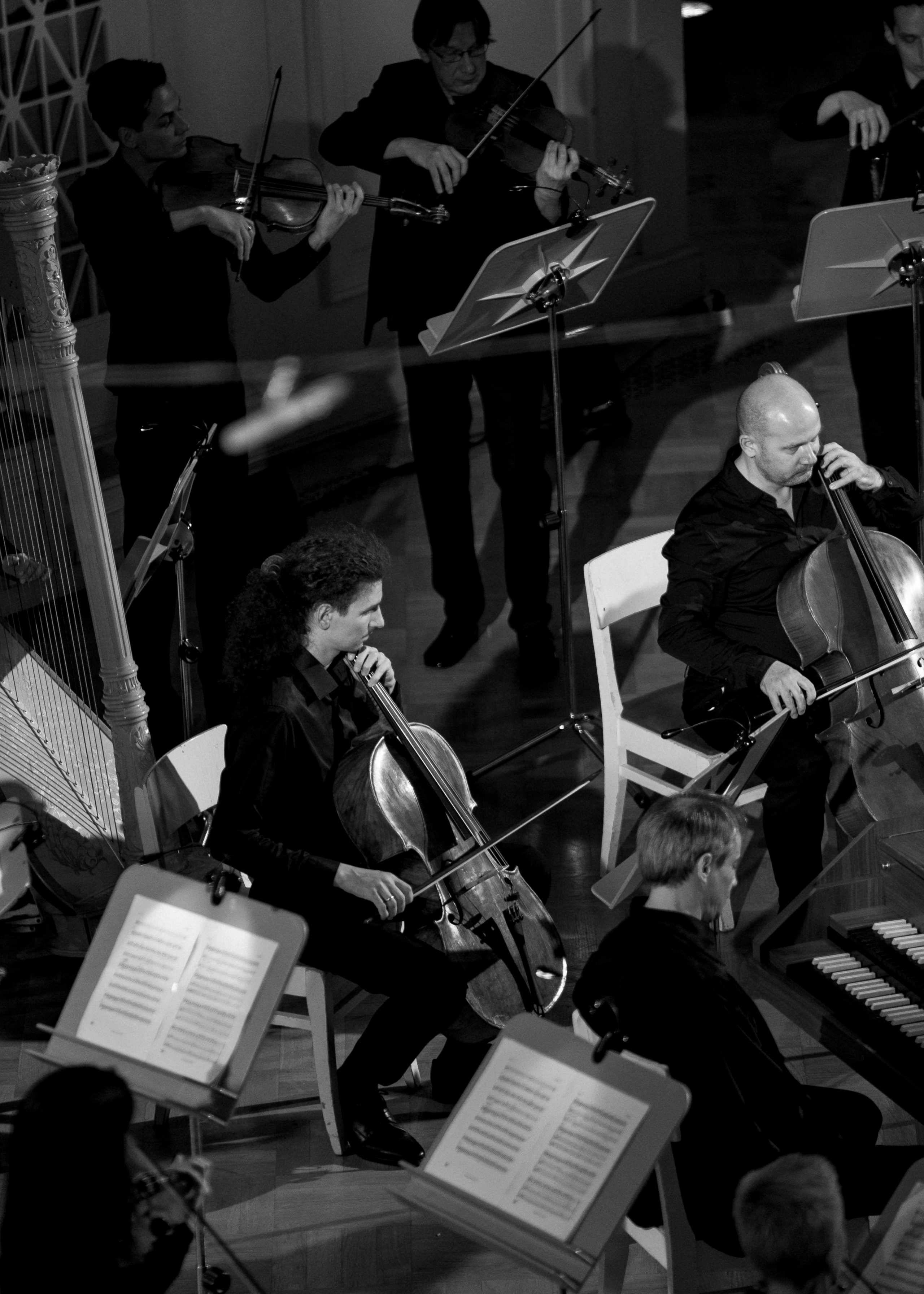 The St. Petersburg Philharmonia. The Night of Museums. Фотограф Ирина Соколенко Санкт-Петербург