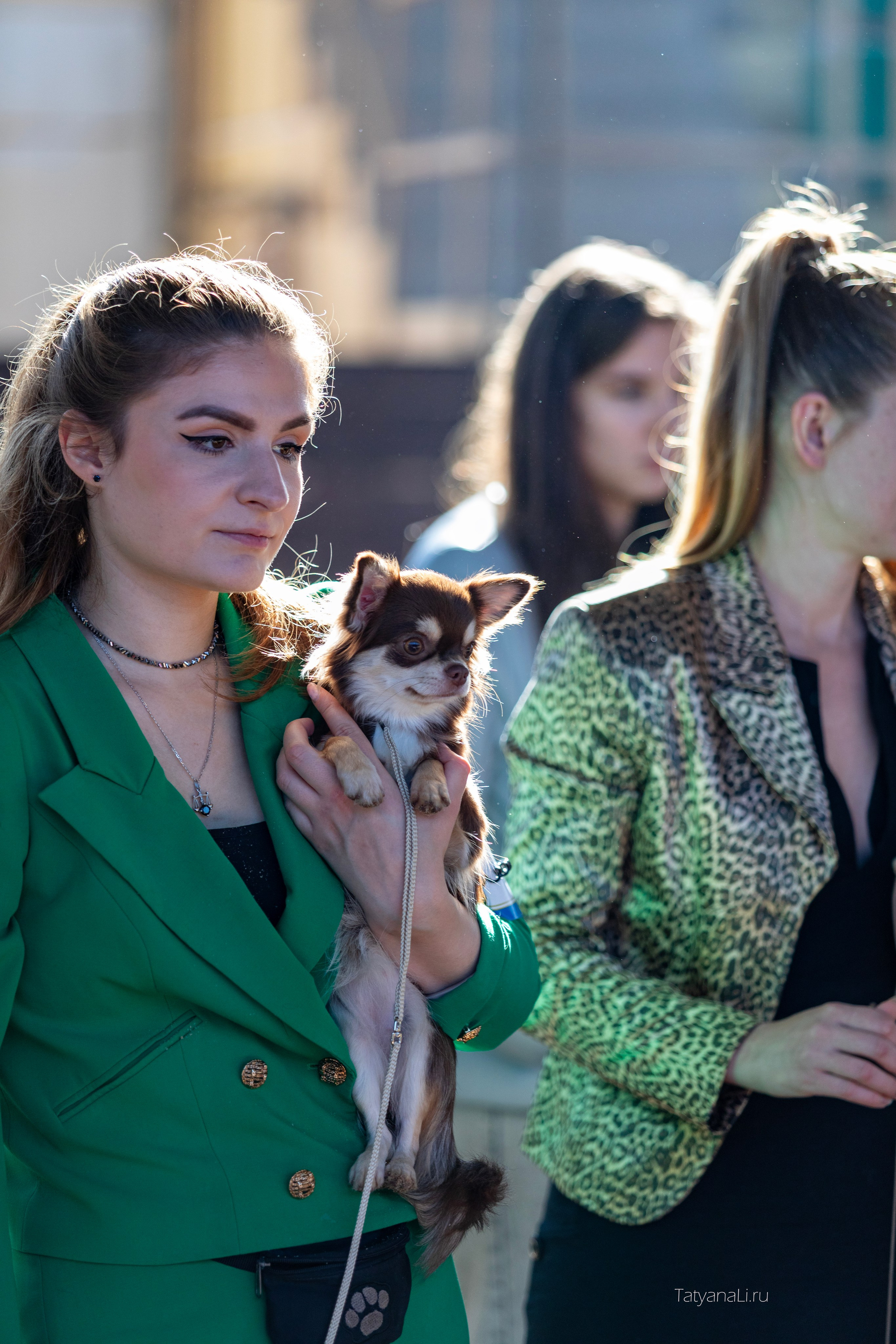 Выставки. Фотограф — анималист Татьяна Ли