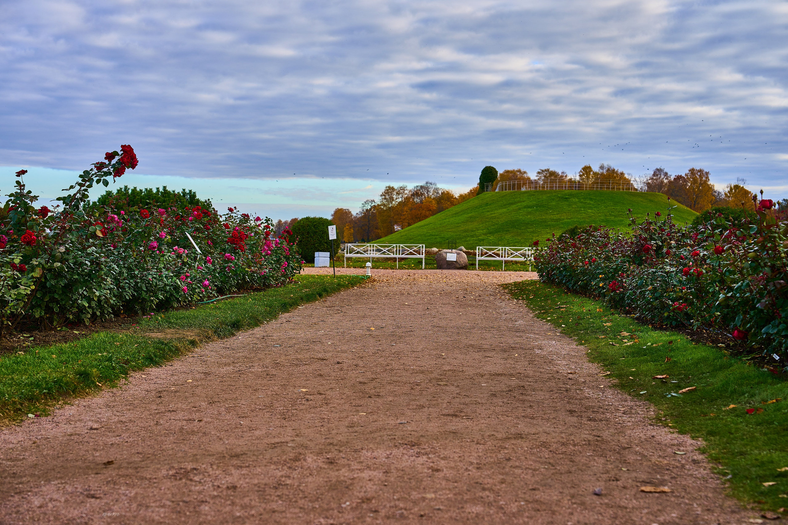 Петергоф. Фотограф Михеев Андрей