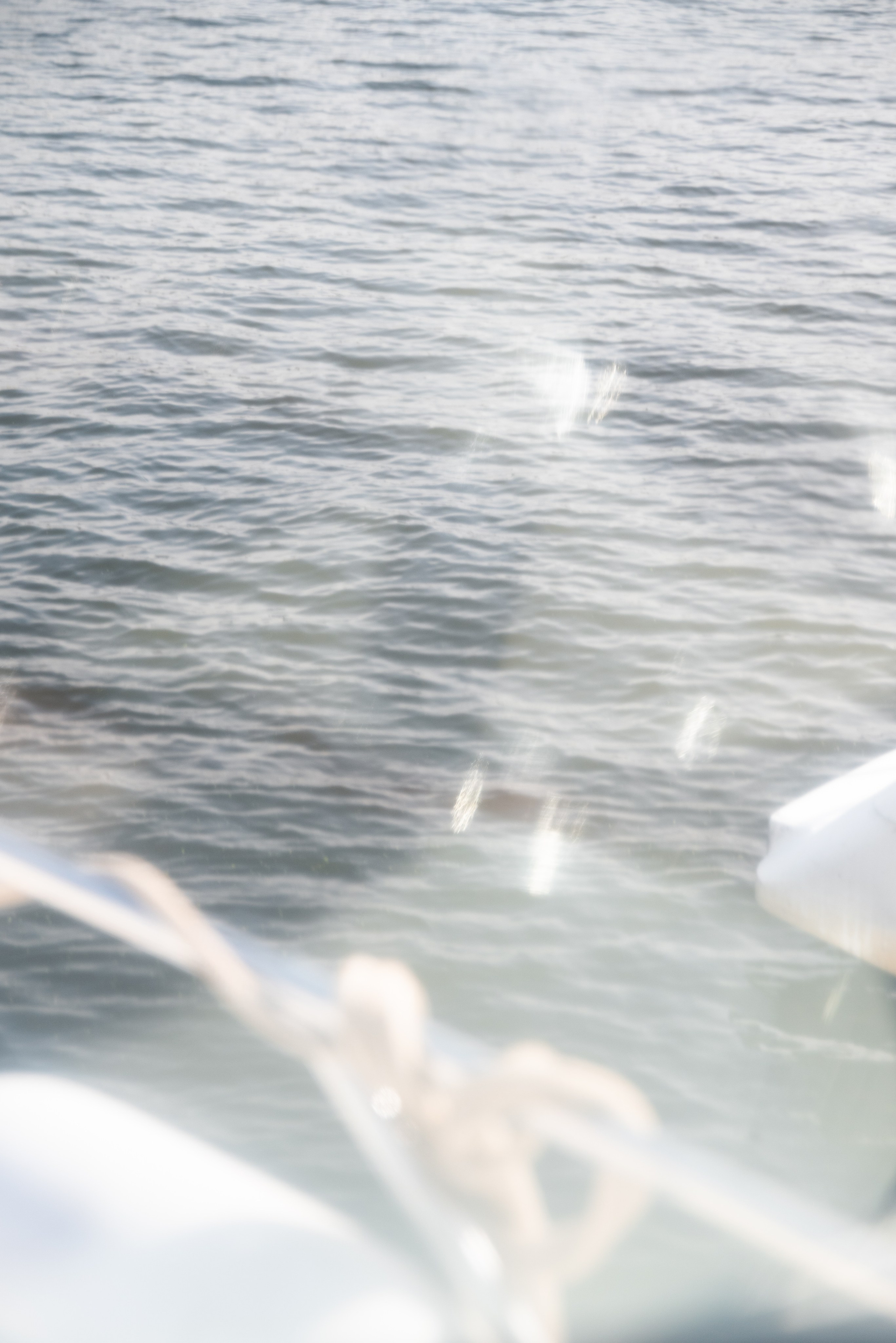 Теса. Фотограф в Москве и Московской области (Ю-В) Олеся Макарова