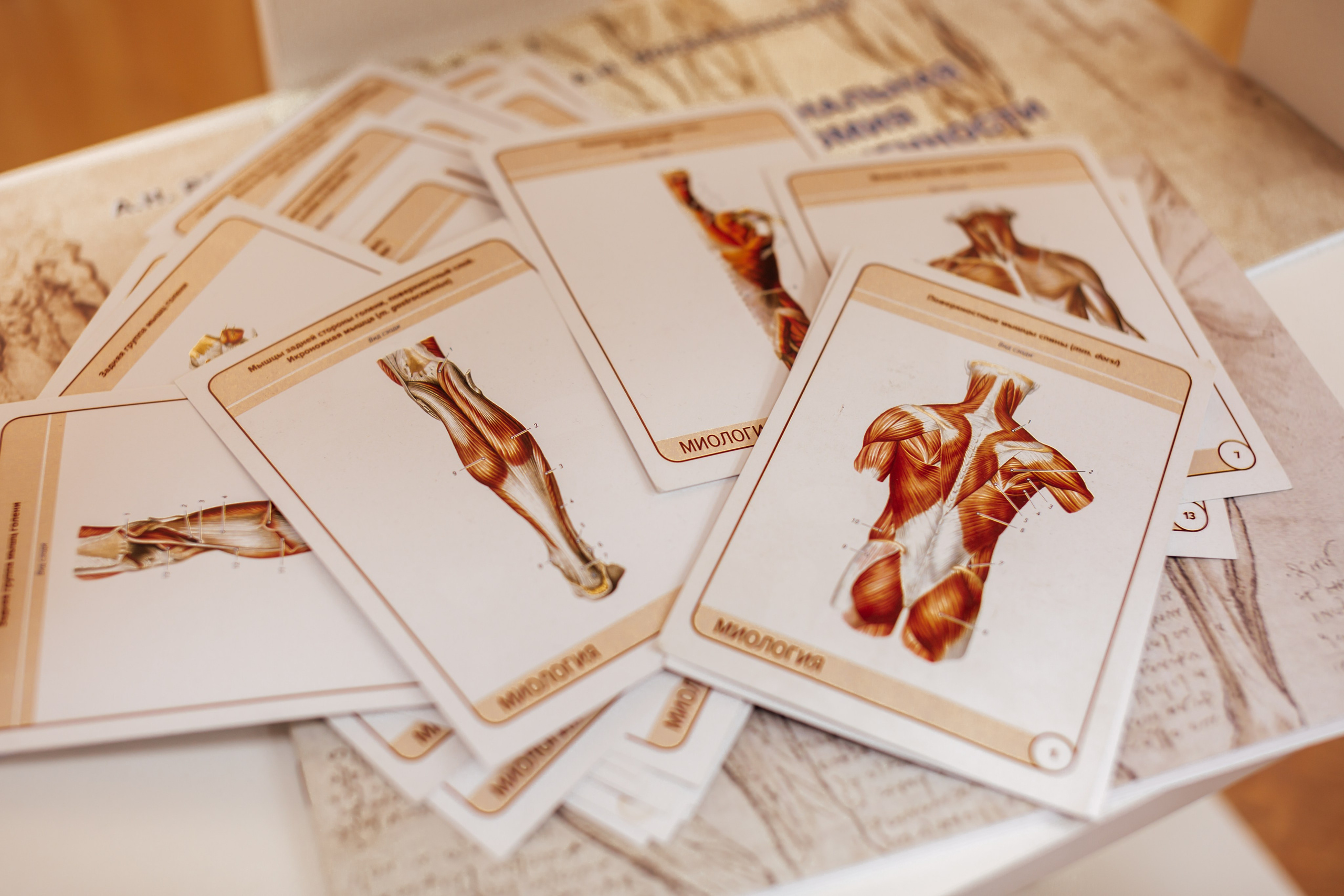 Массаж. Свадебный и семейный фотограф/видеограф в Краснодаре Наталья Осинская