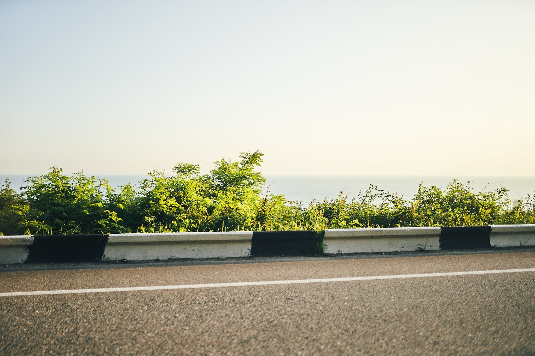Поездка в Пицунду на концерт органной музыки. Фотограф в Сочи Катя Гончарова