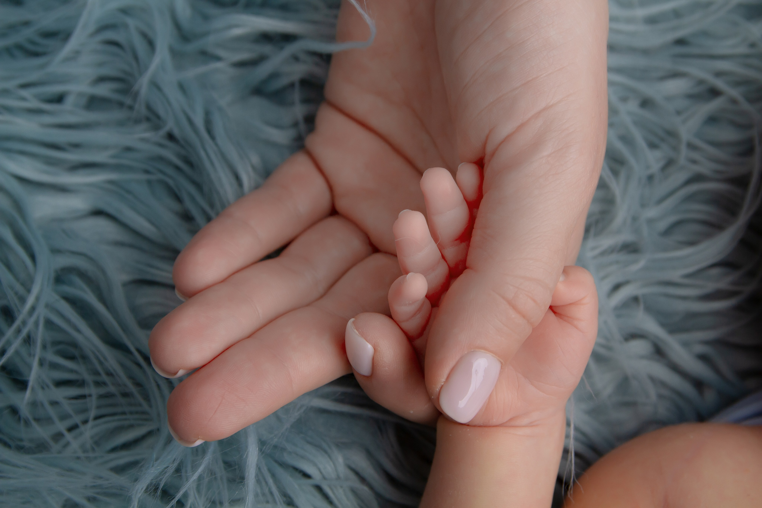 Портфолио. Самая первая фотосессия малыша! Профессиональная съемка новорожденных Newborn в Москве и МО!