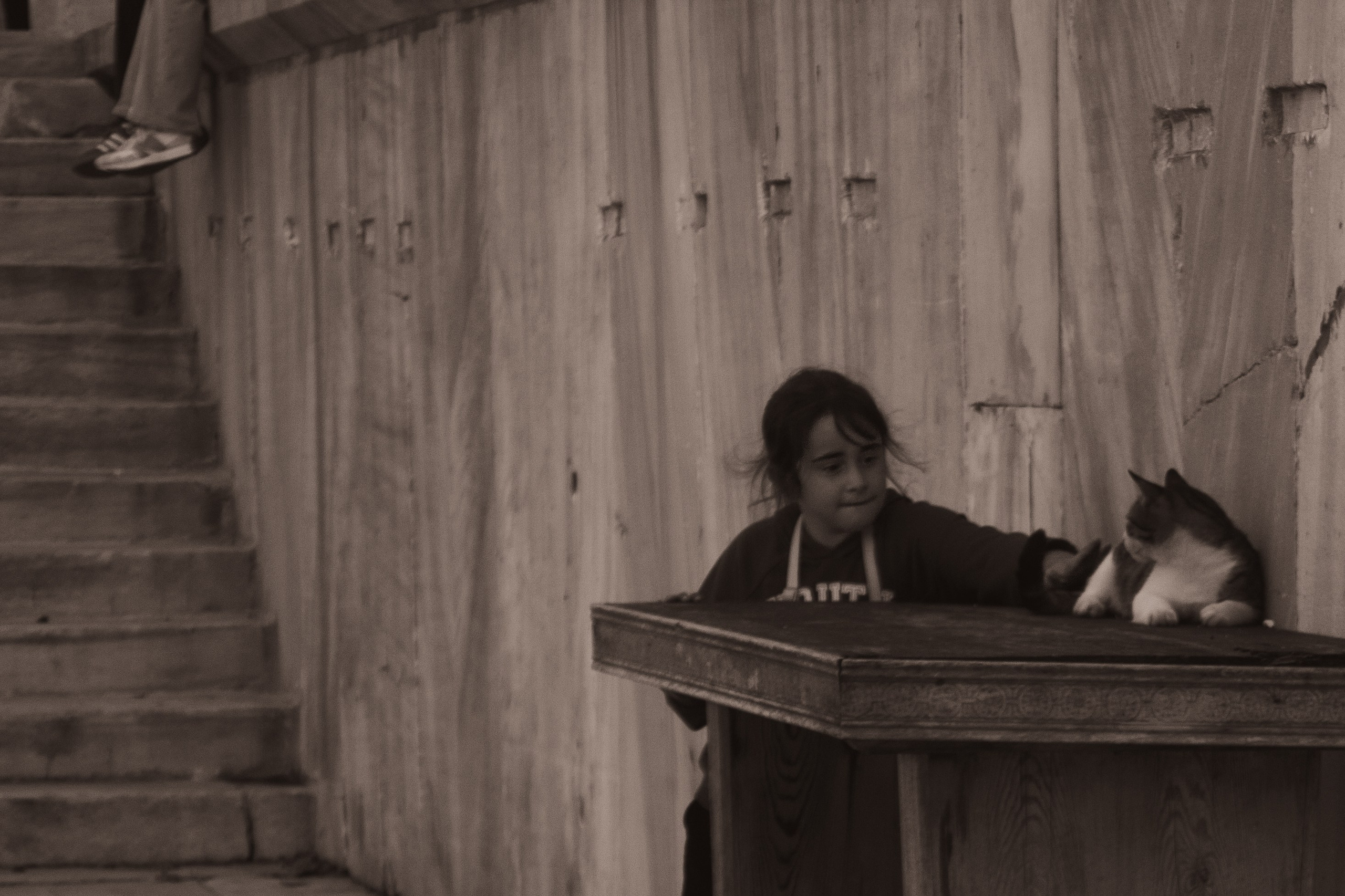 Животные. Фотограф Москва, портрет, стрит, репортаж. Художественная фотосессия